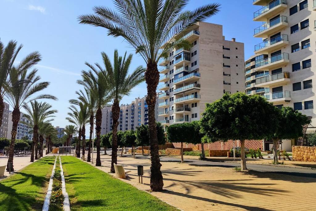CALA ALTA modern apartment