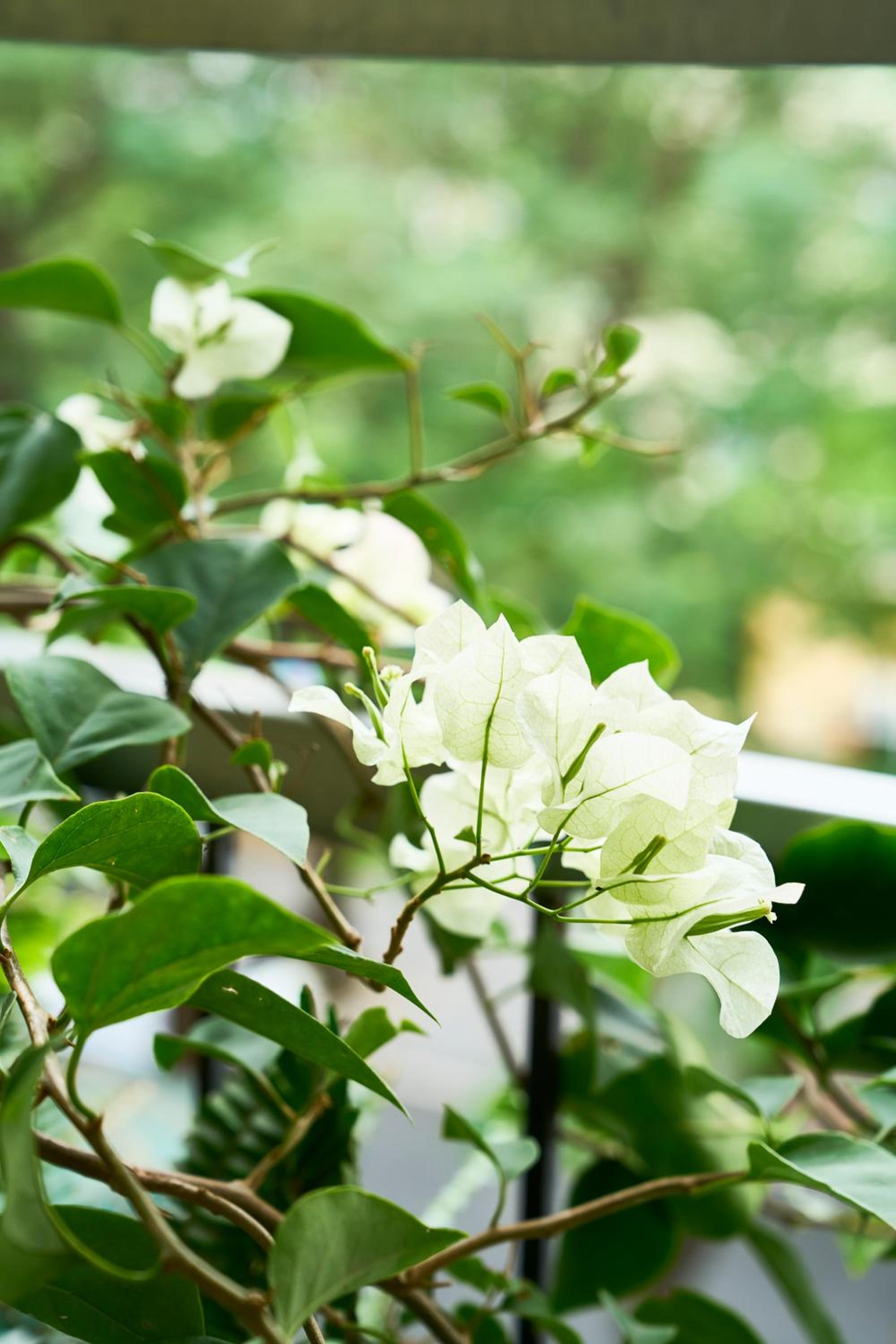 K' homestay near Hoan Kiem lake