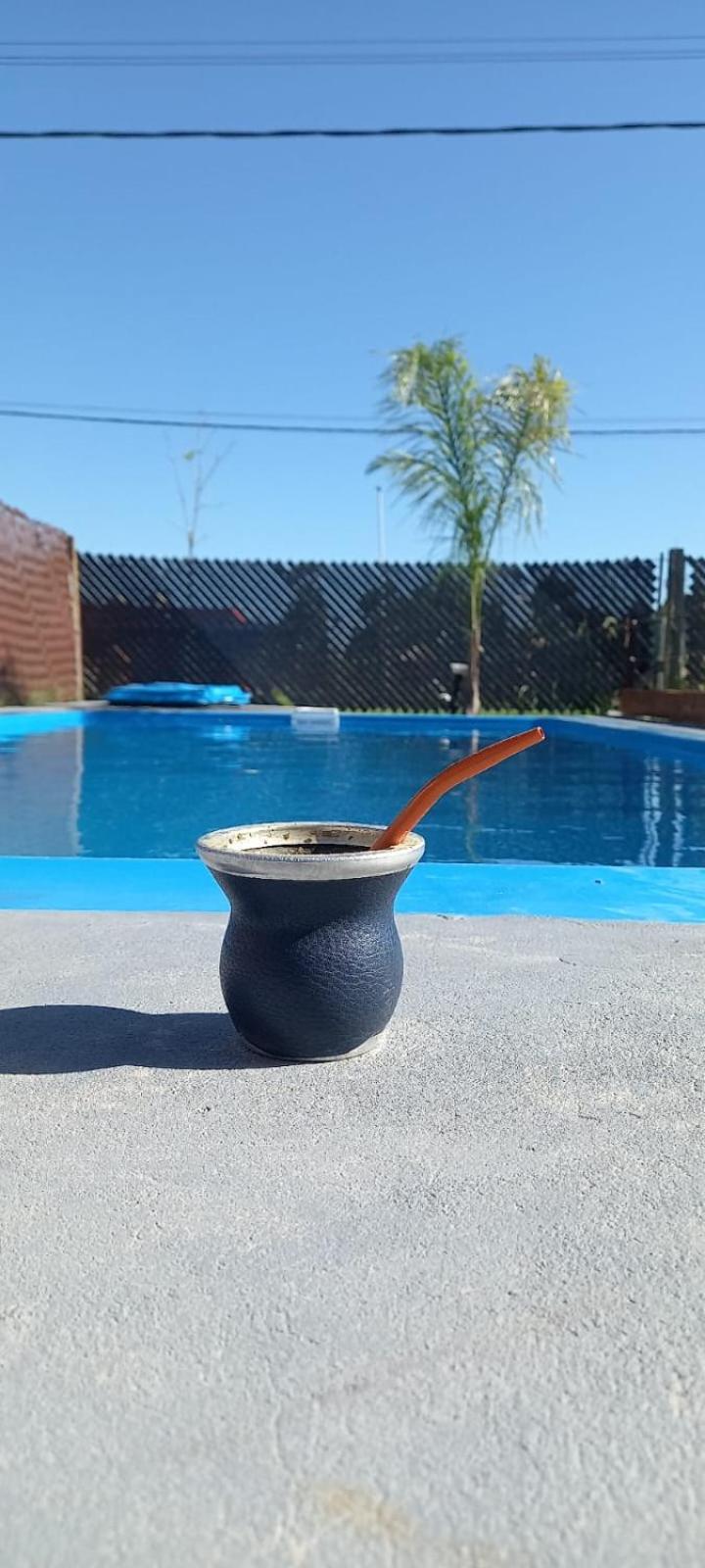 El Bagual de Monte XL