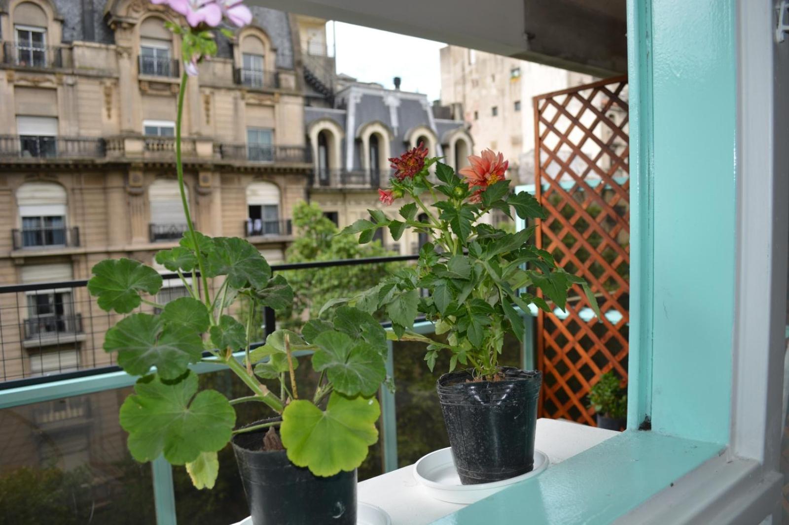 STUDIO AVENIDA