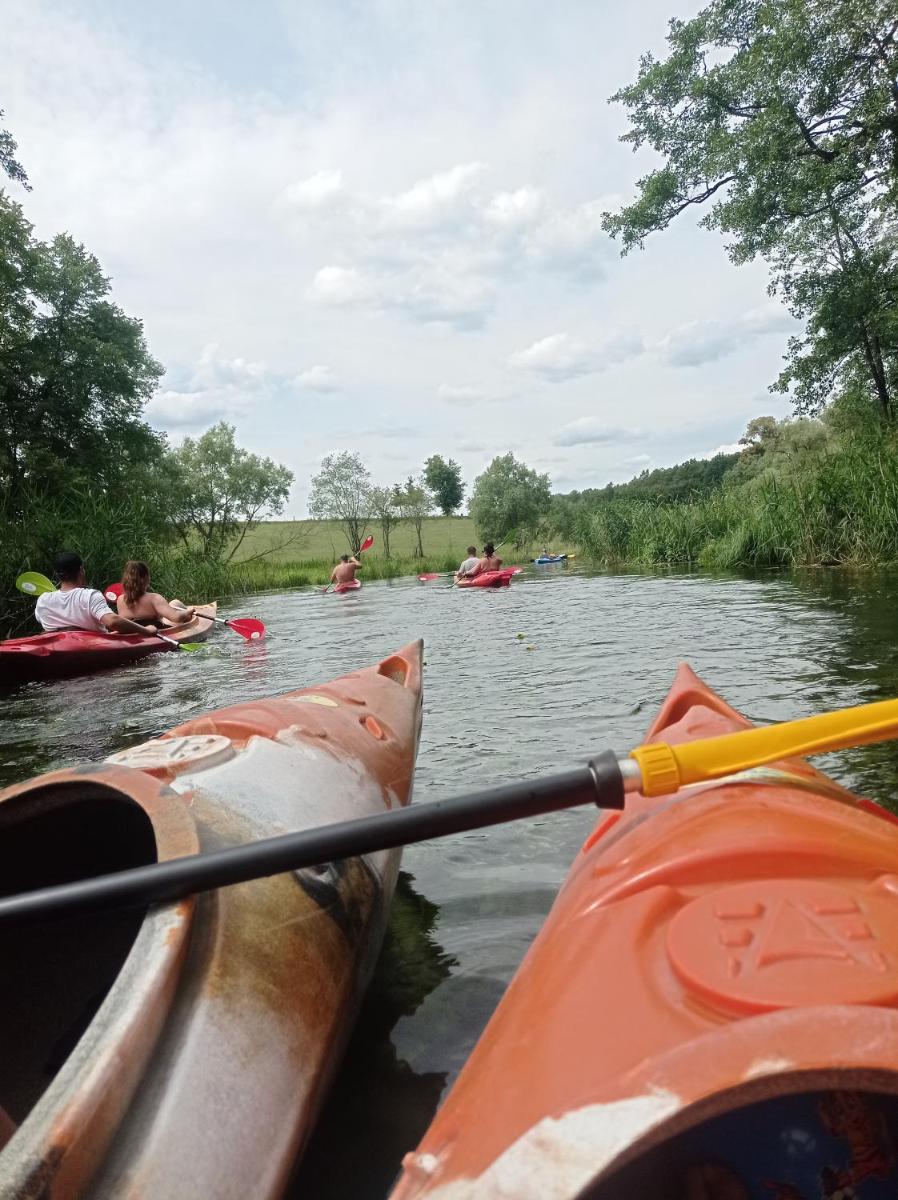 Photo 34