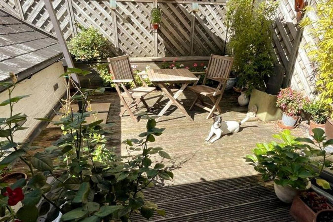 Photo 25