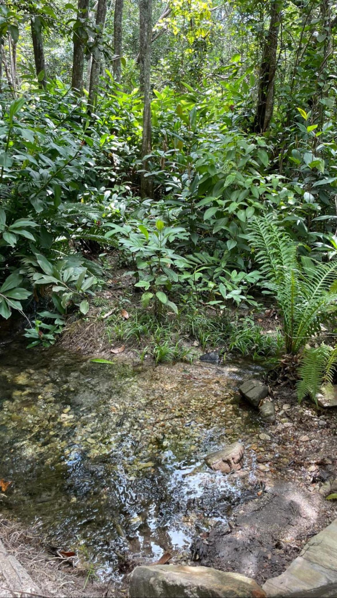 Recanto Dona Ana (chácara)