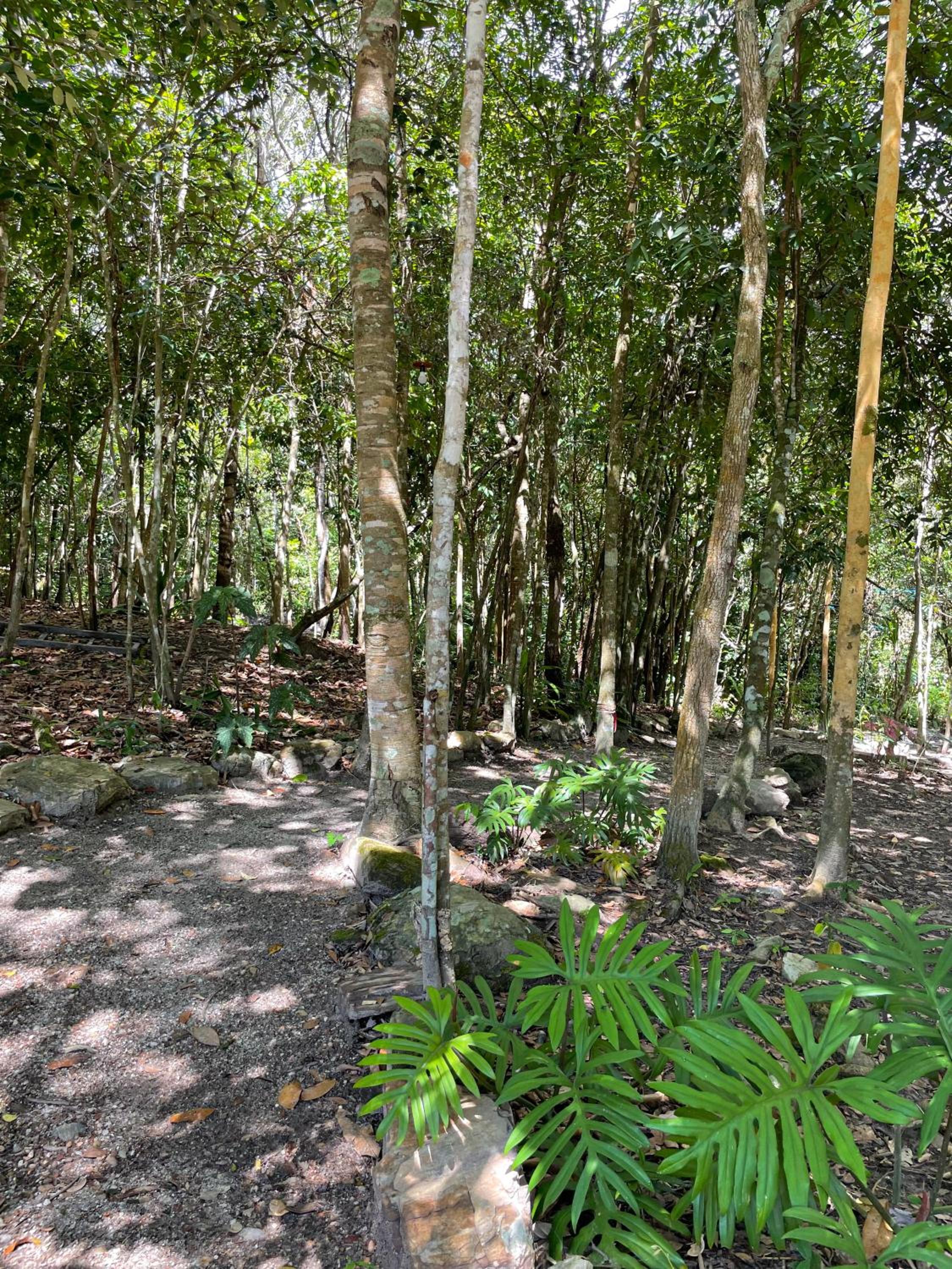 Recanto Dona Ana (chácara)