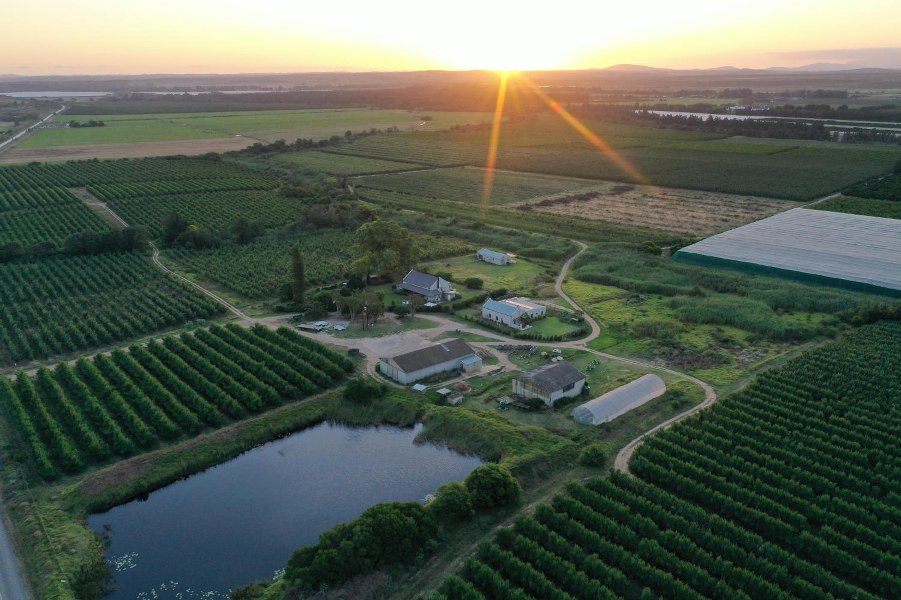 Lowergroen Guest Farm, Working Farm view 3