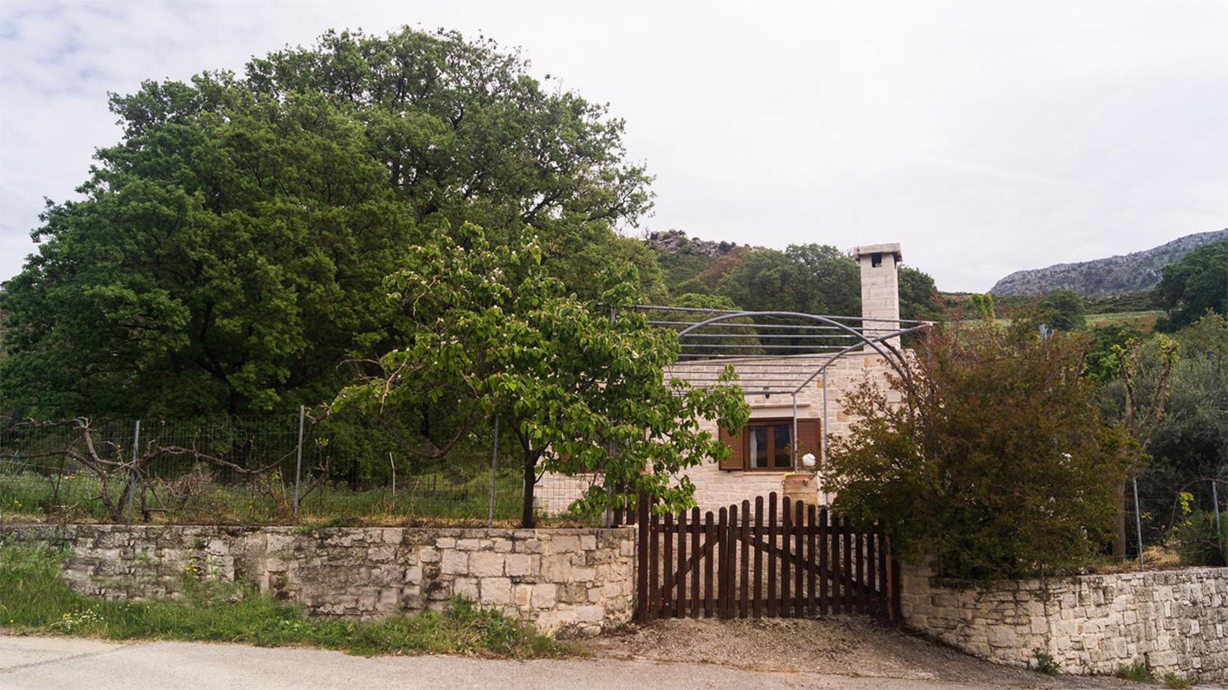 Photo 12