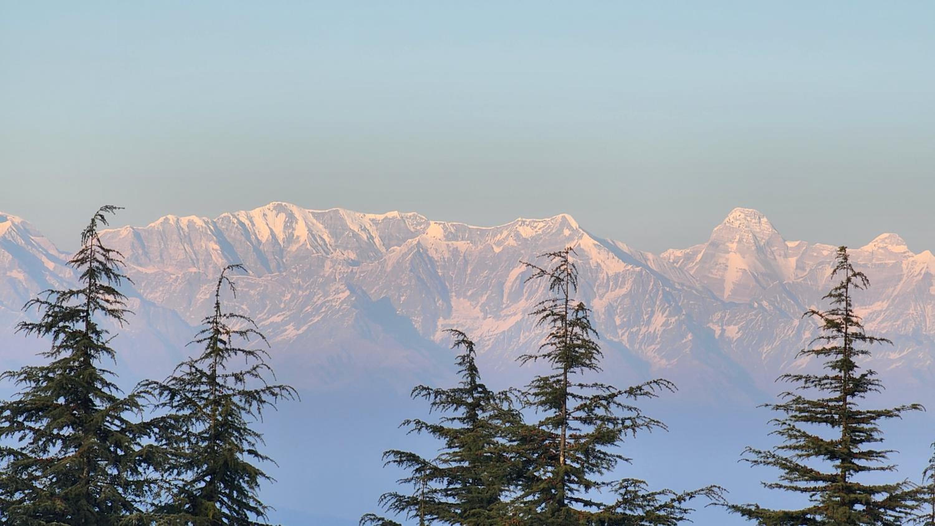 The Mystic Pines view 4