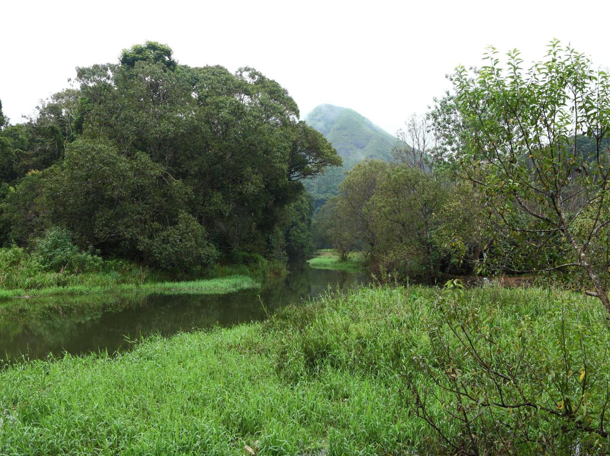 Photo 45