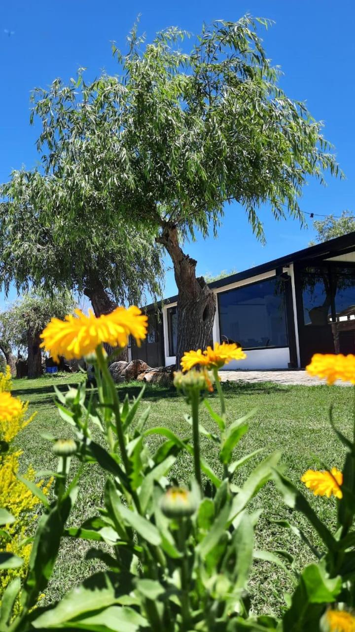 Casa Quinta