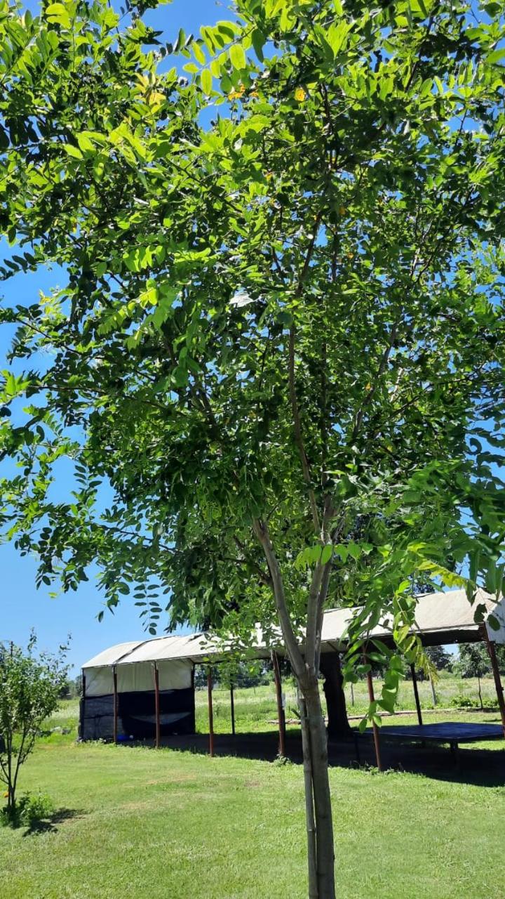 Casa Quinta