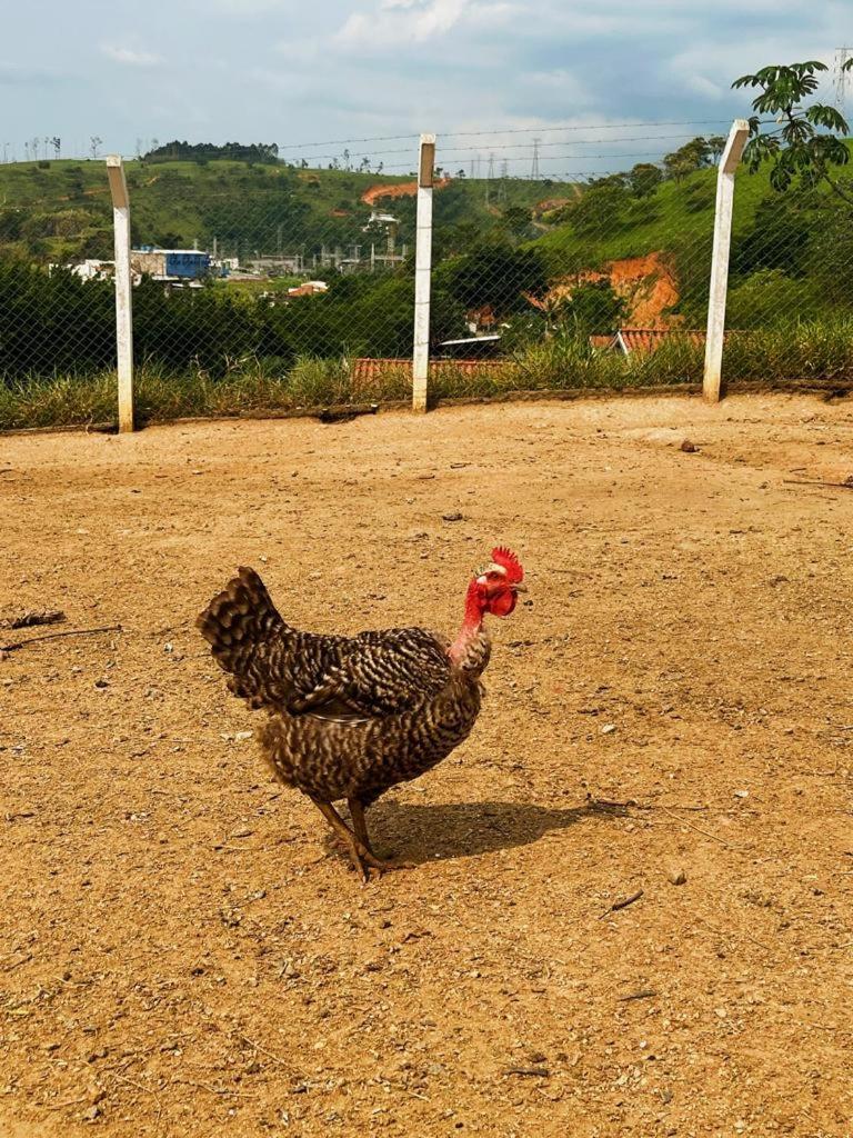 Pousada Jovimar