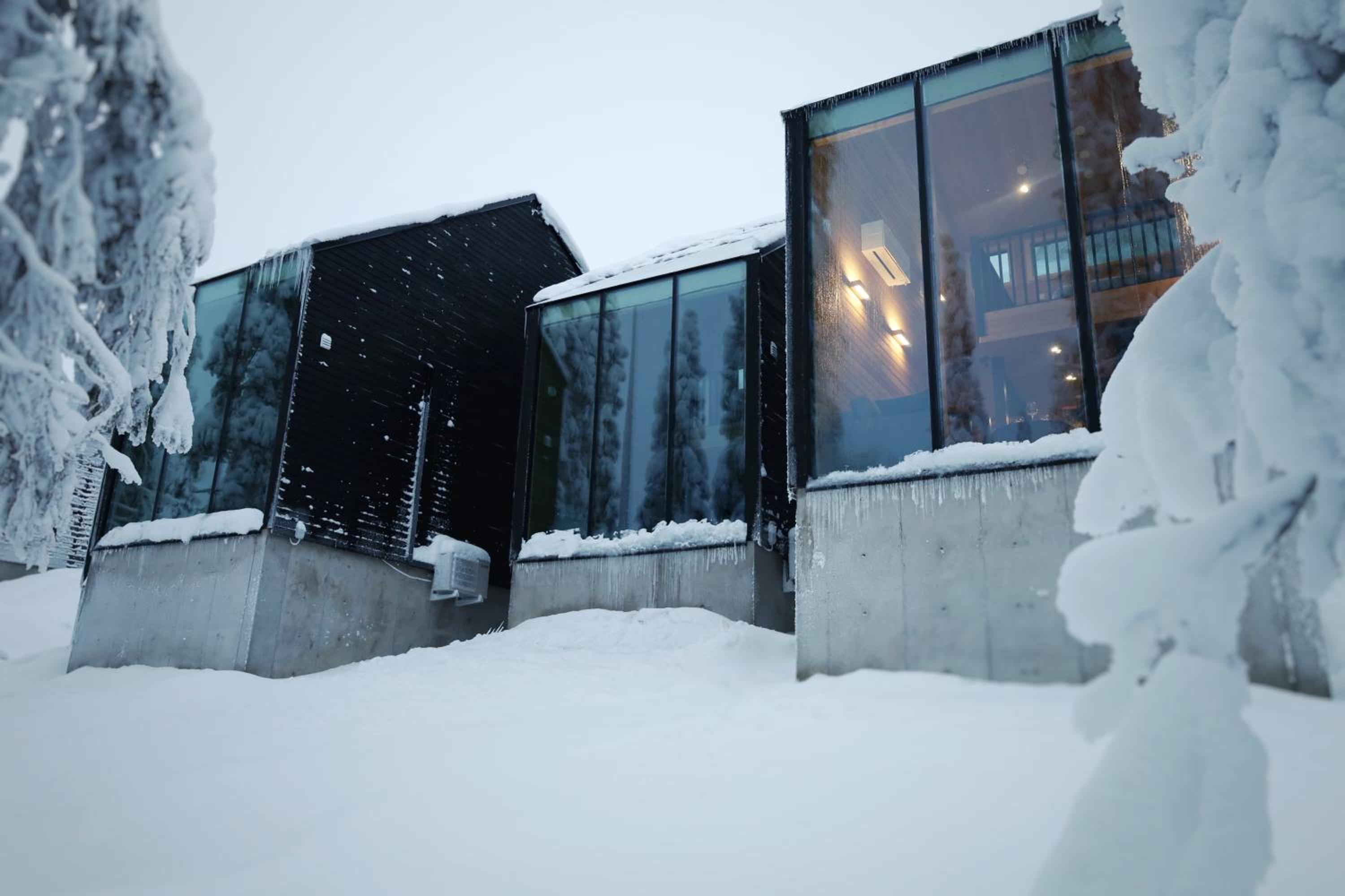 Villa Auroras Pöllö