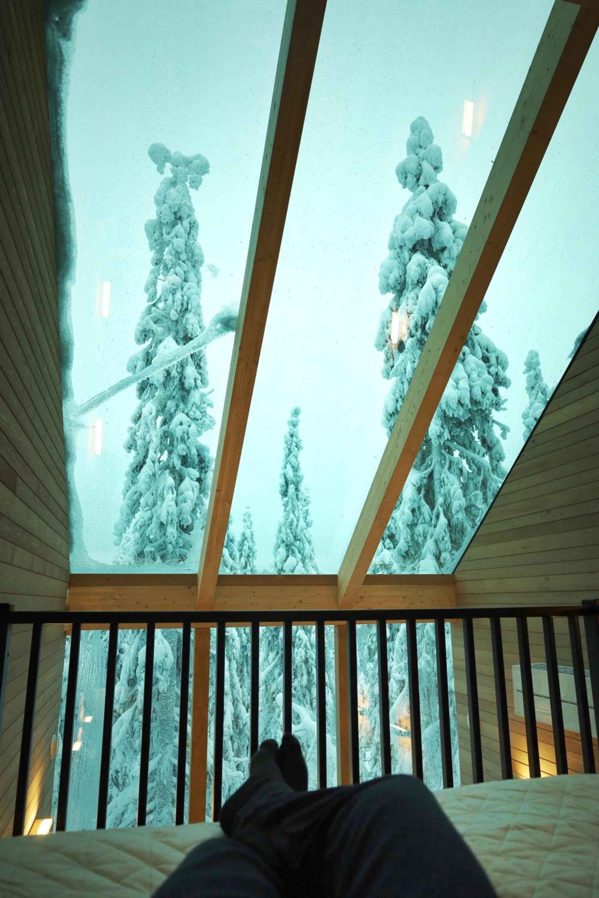 Villa Auroras Pöllö