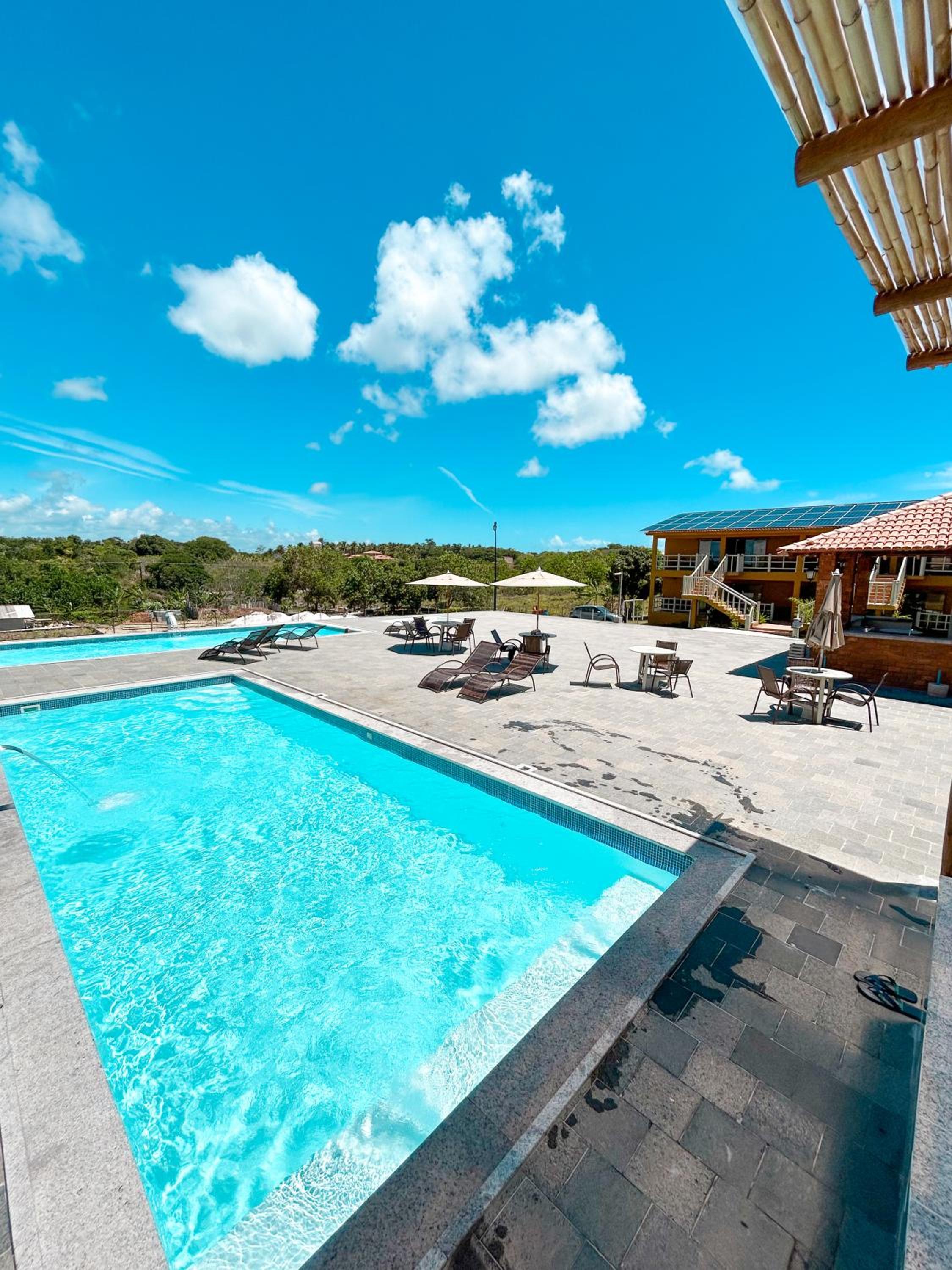 Photo 51