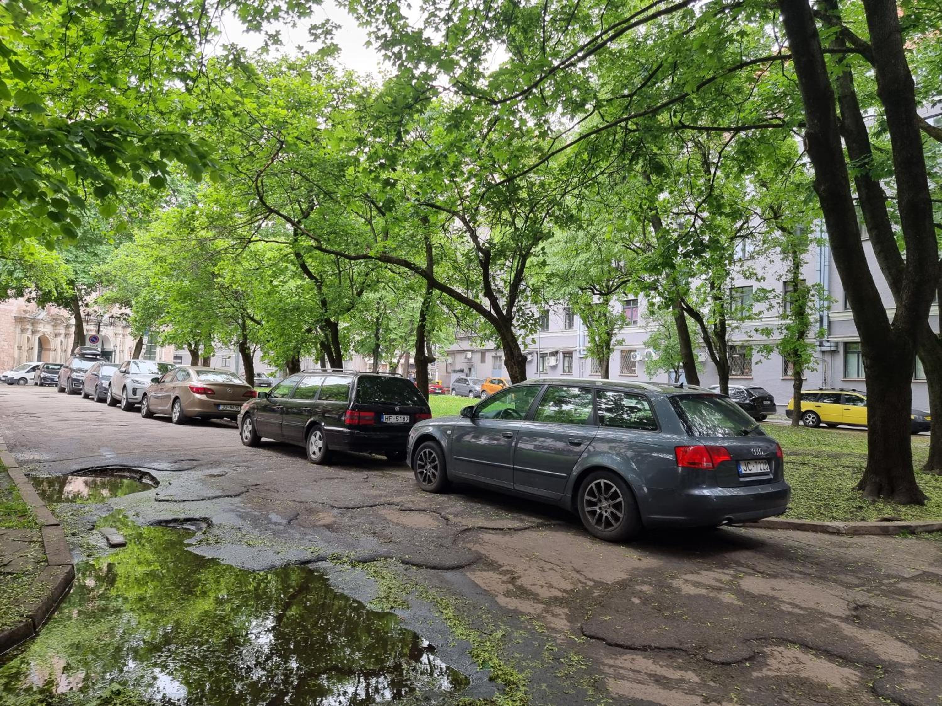 Photo 21