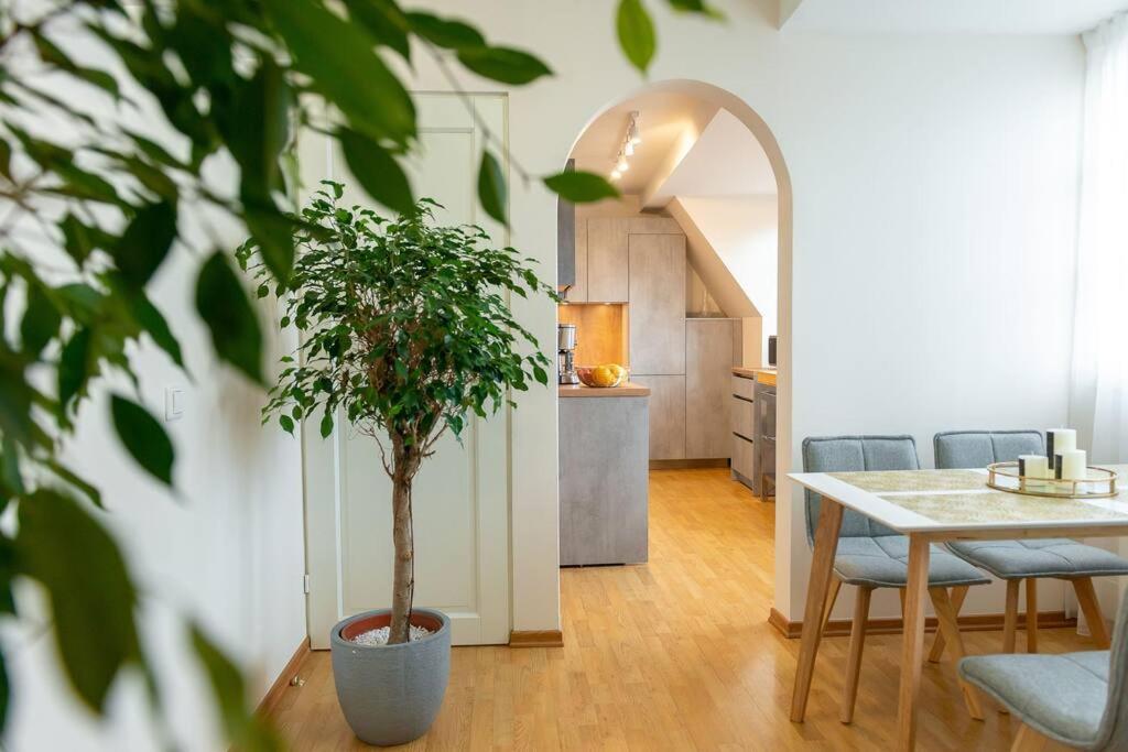 TOP FLOOR APARTMENT with TWO BALCONIES in the OLD TOWN view 2