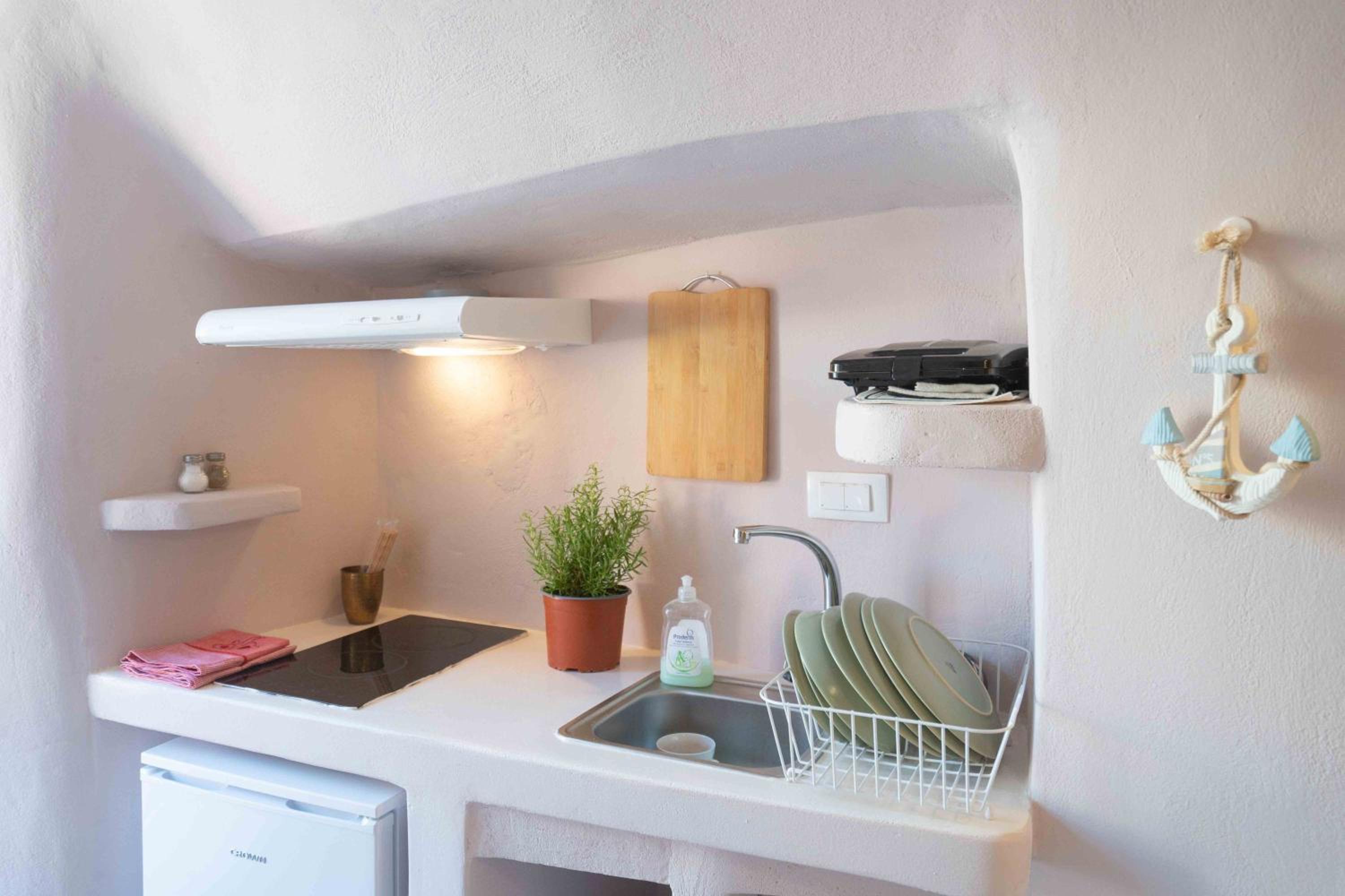 Bird Nest-Santorini Cave houses photo 5