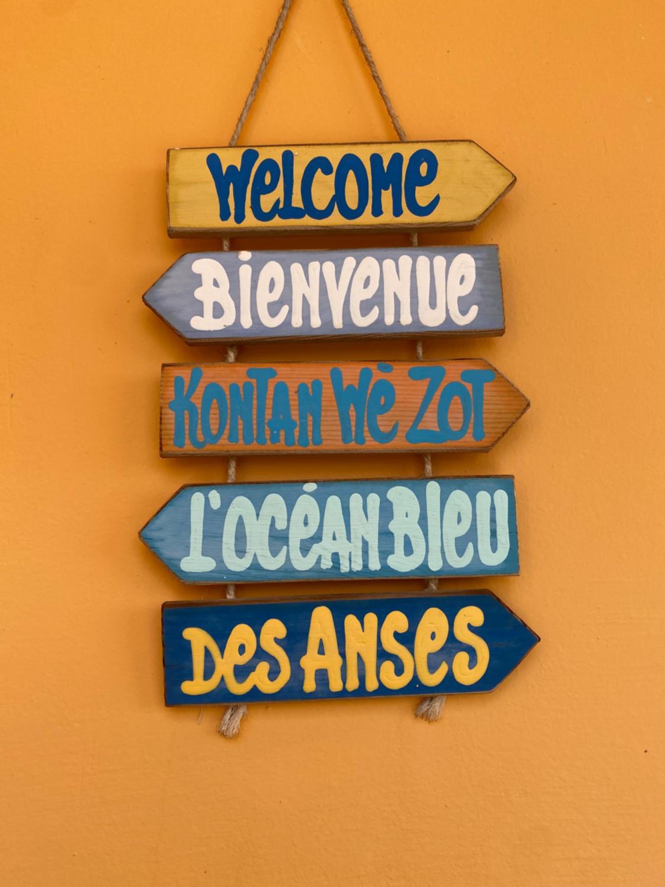 L'OCEAN BLEU DES ANSES view 5