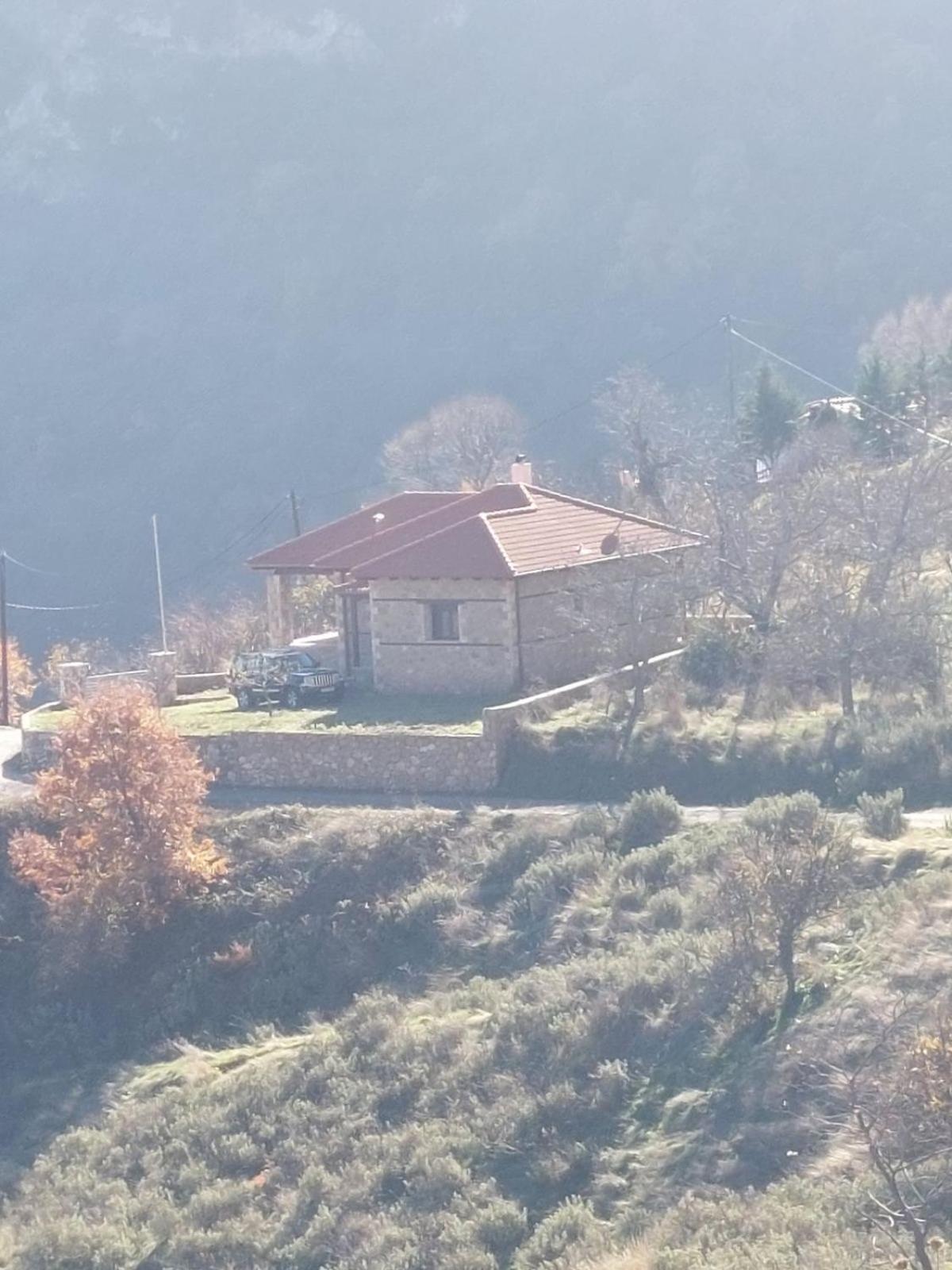 Forest House