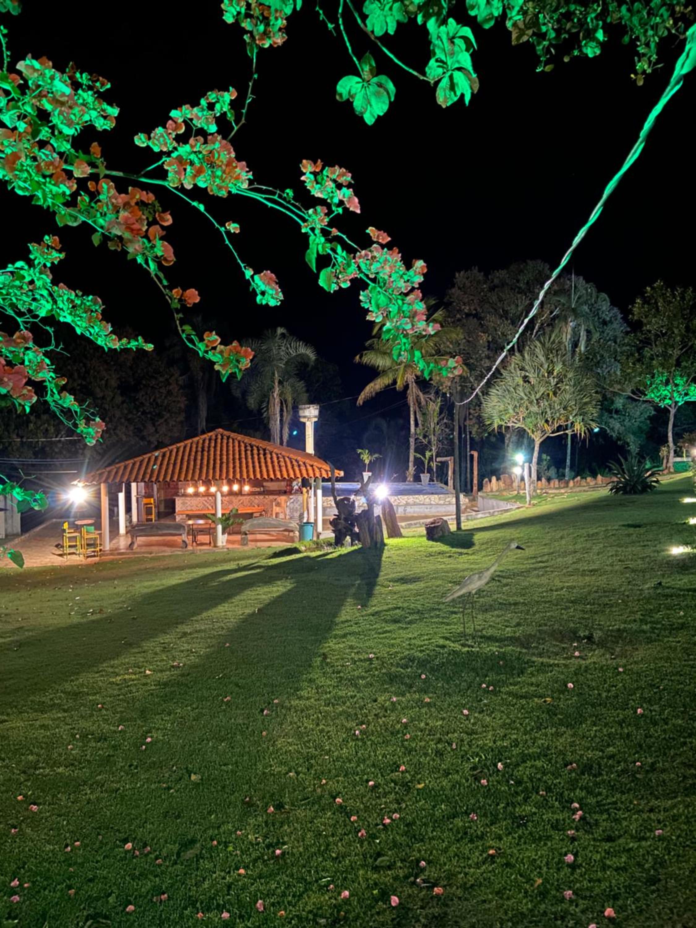 Rancho Bonanza Piri
