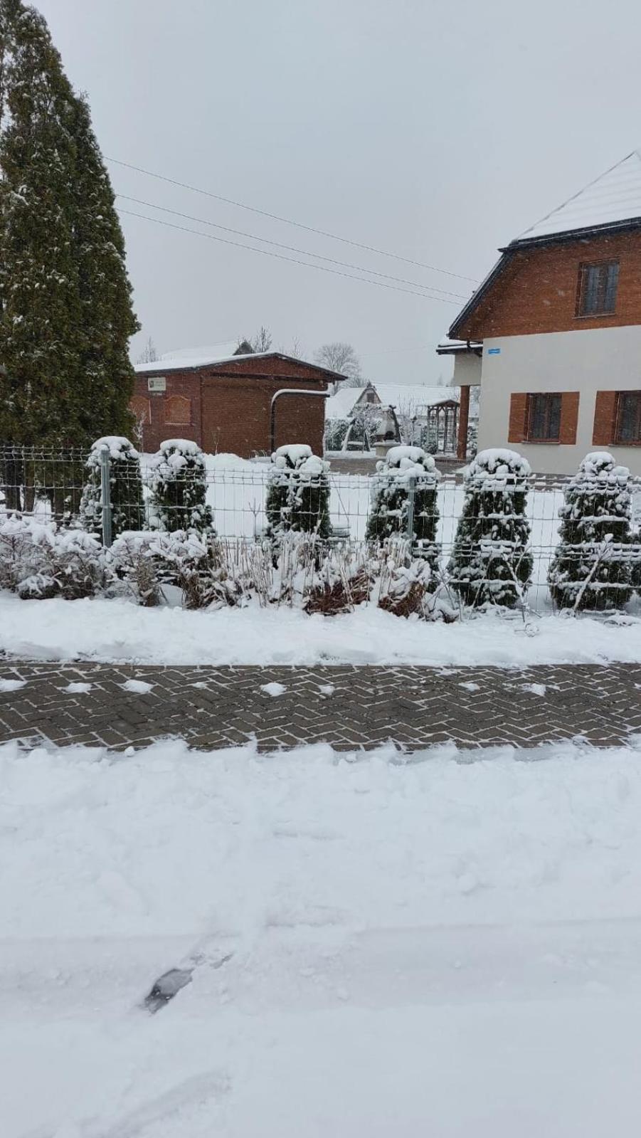 Apartamenty Pod Magnolią view 2