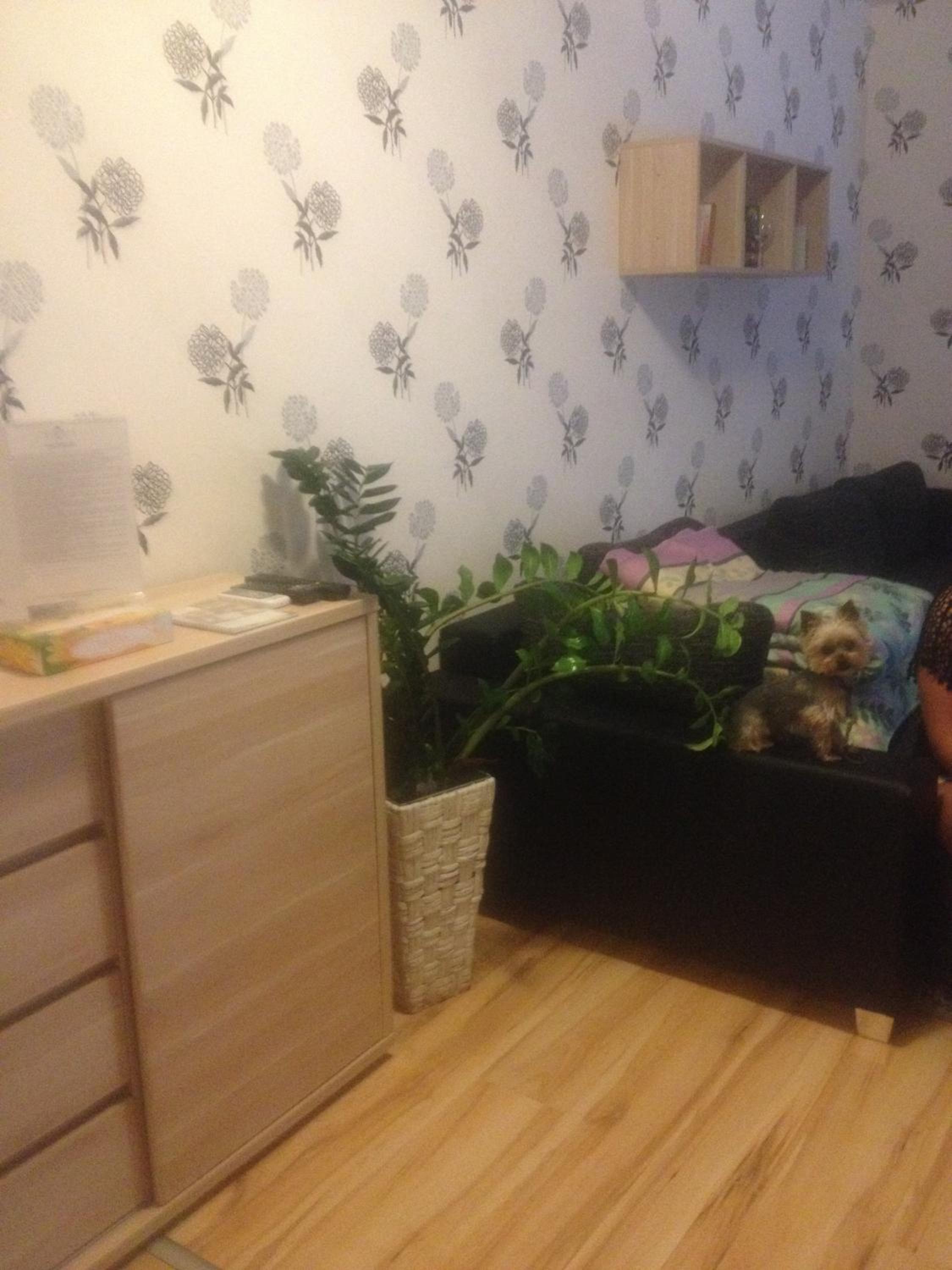 Photo 39