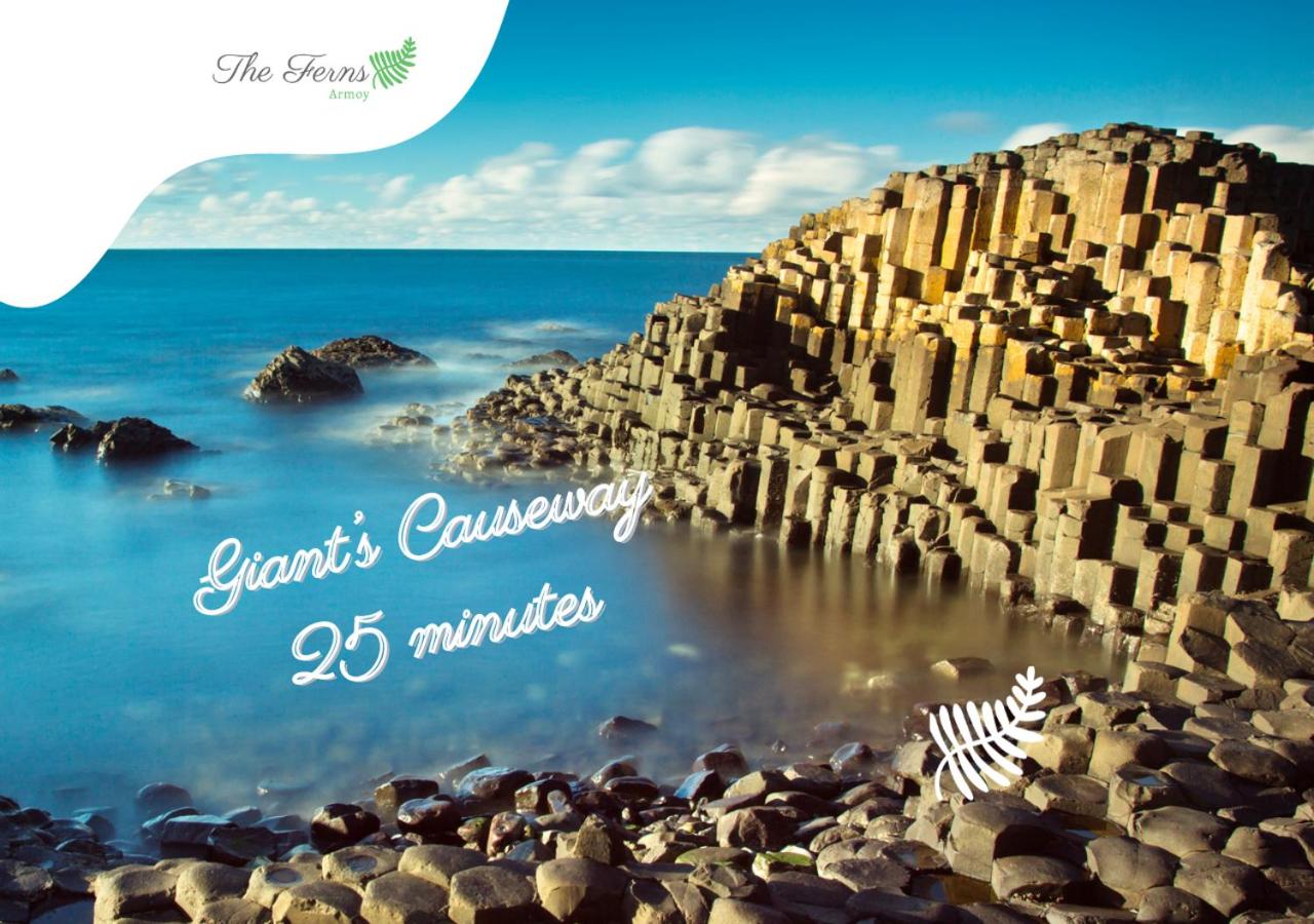 The Ferns - Causeway Coast view 3