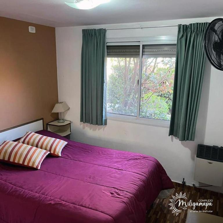 complejo miligamapa con piscina climatizada