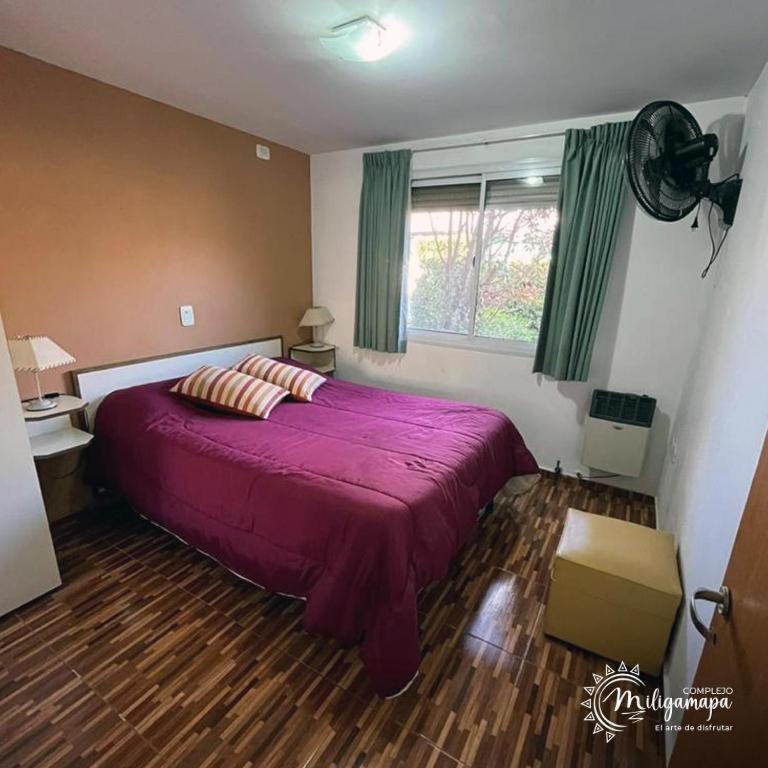 complejo miligamapa con piscina climatizada