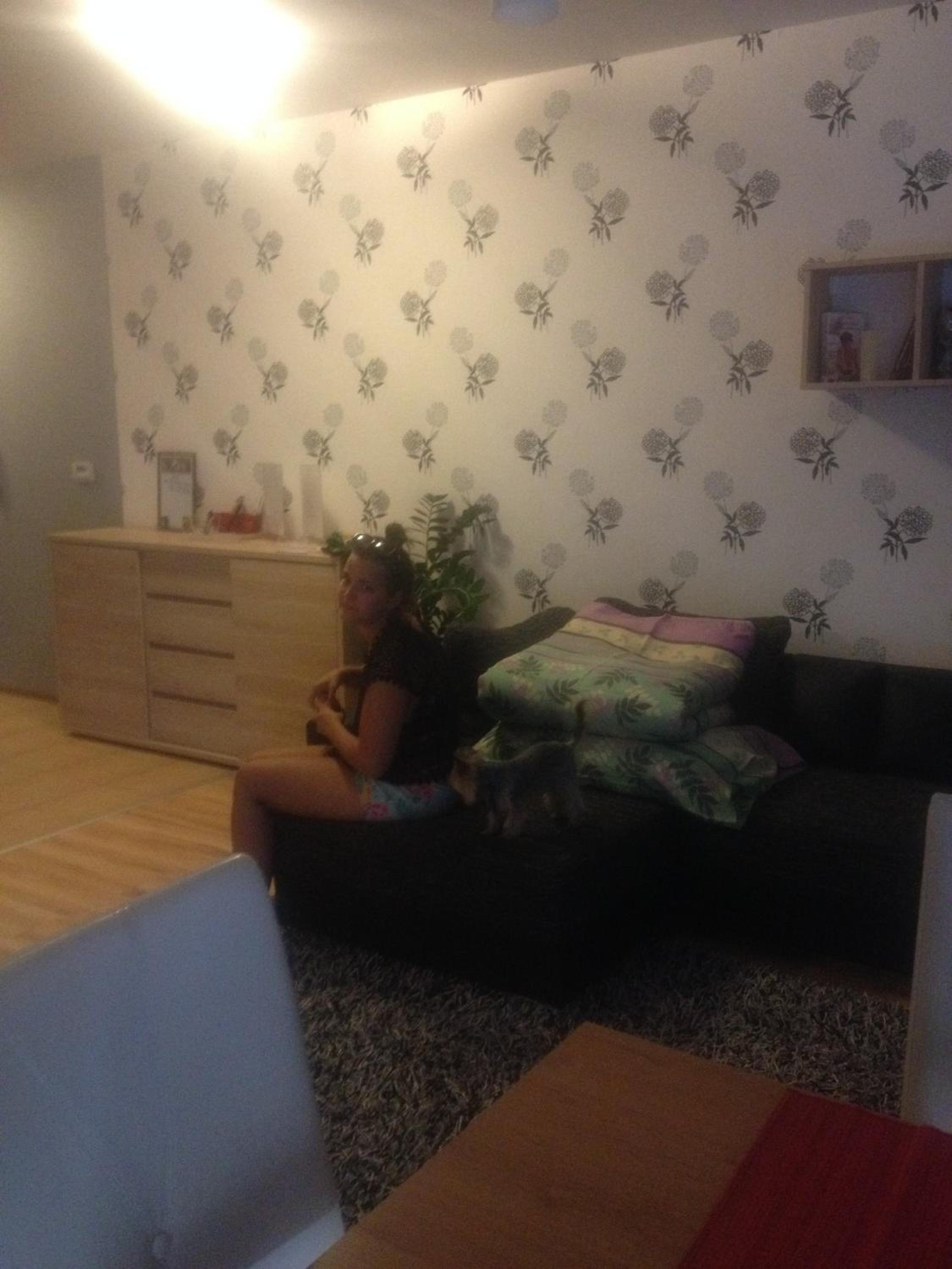 Photo 38