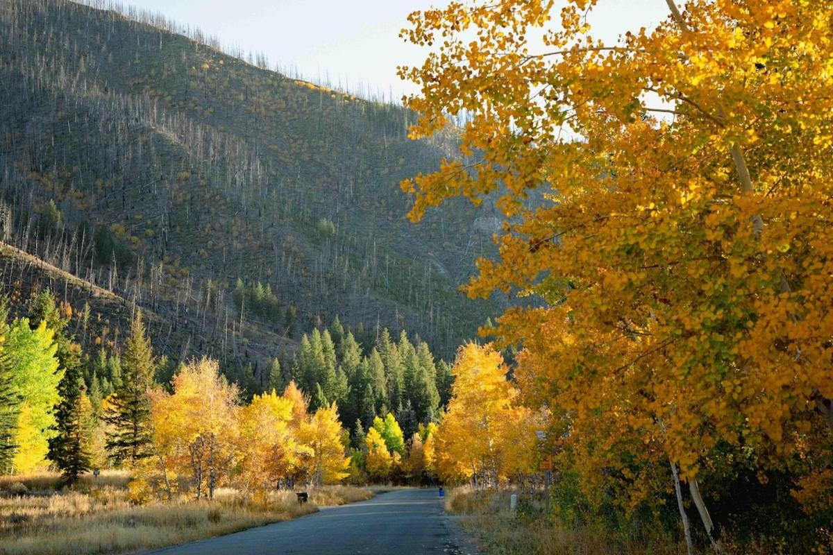 Riverfront Cabin Sun Valley Area view 3