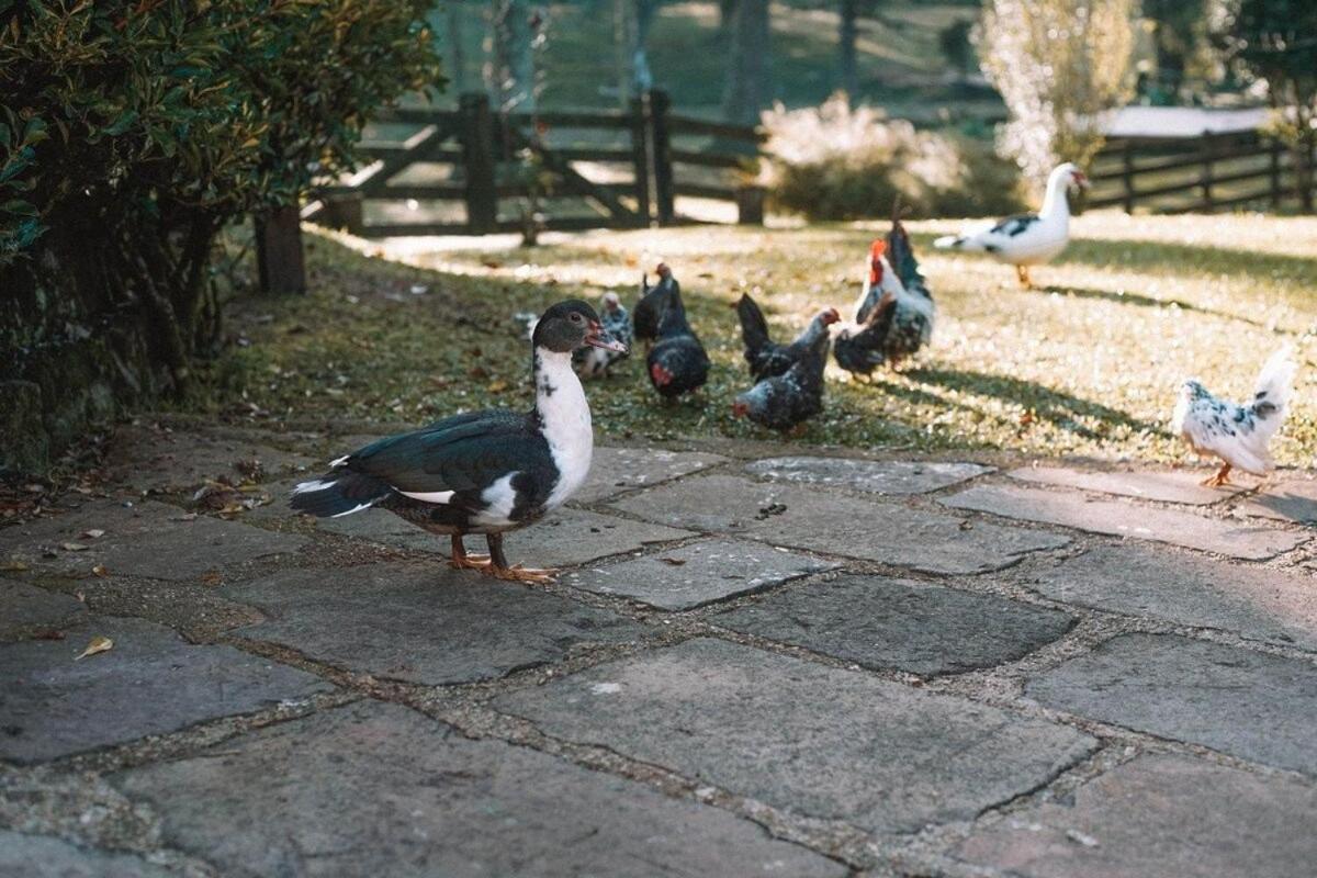 Borgo 28 Gramado