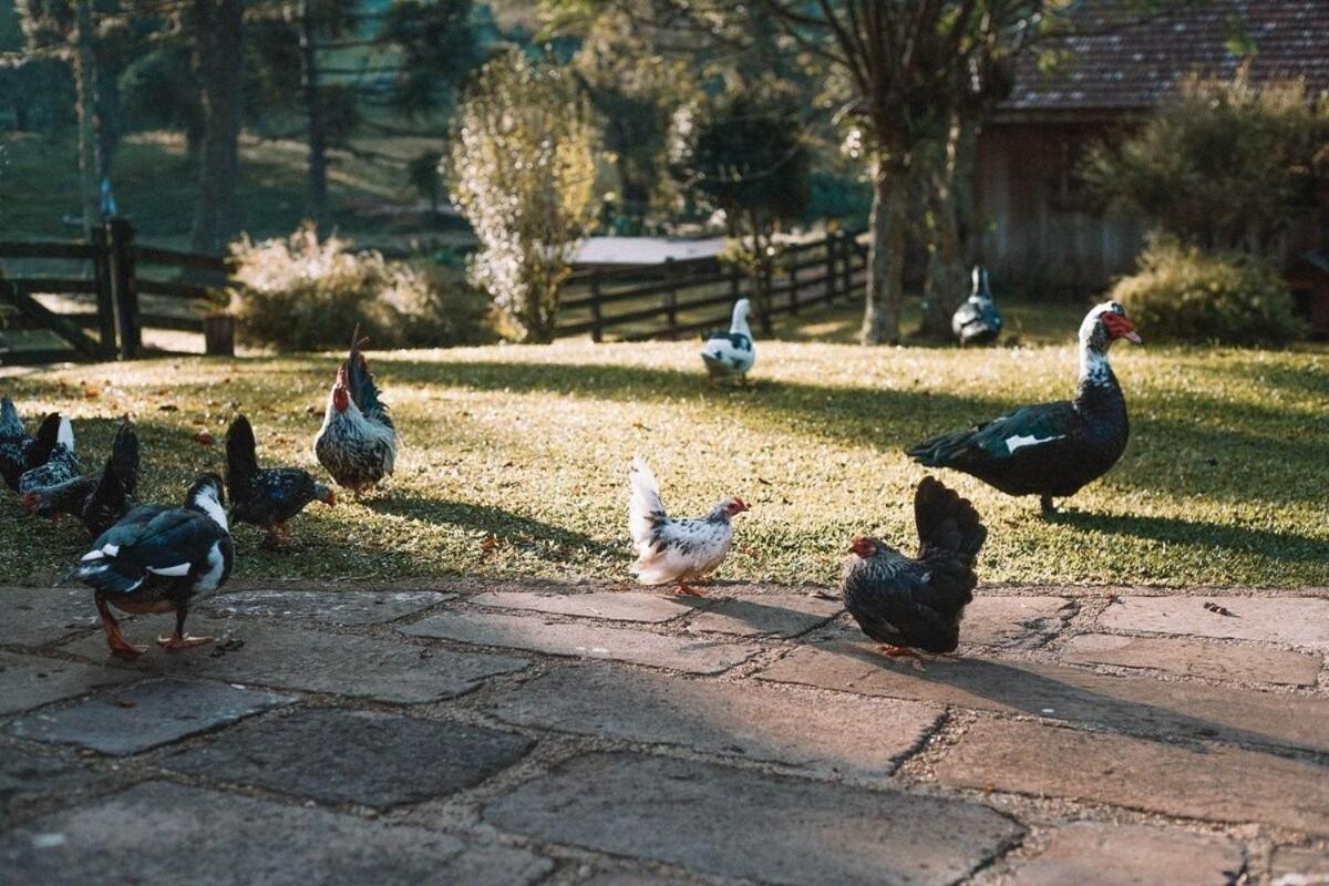 Borgo 28 Gramado