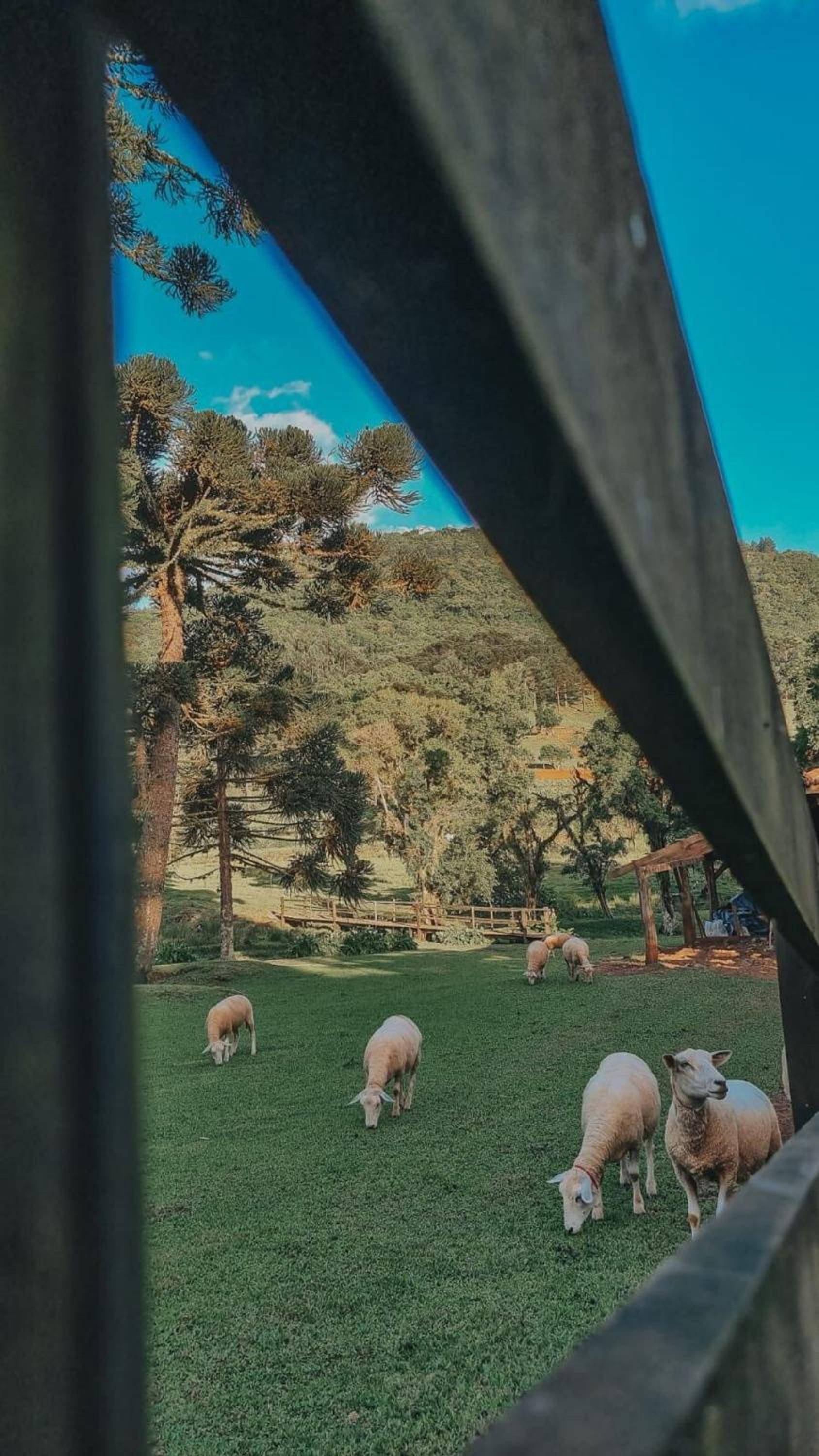 Borgo 28 Gramado