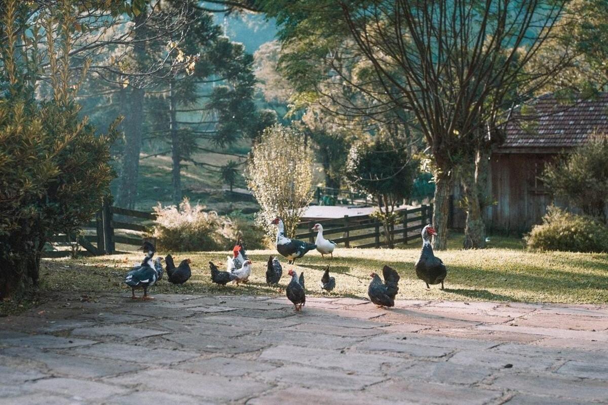 Borgo 28 Gramado