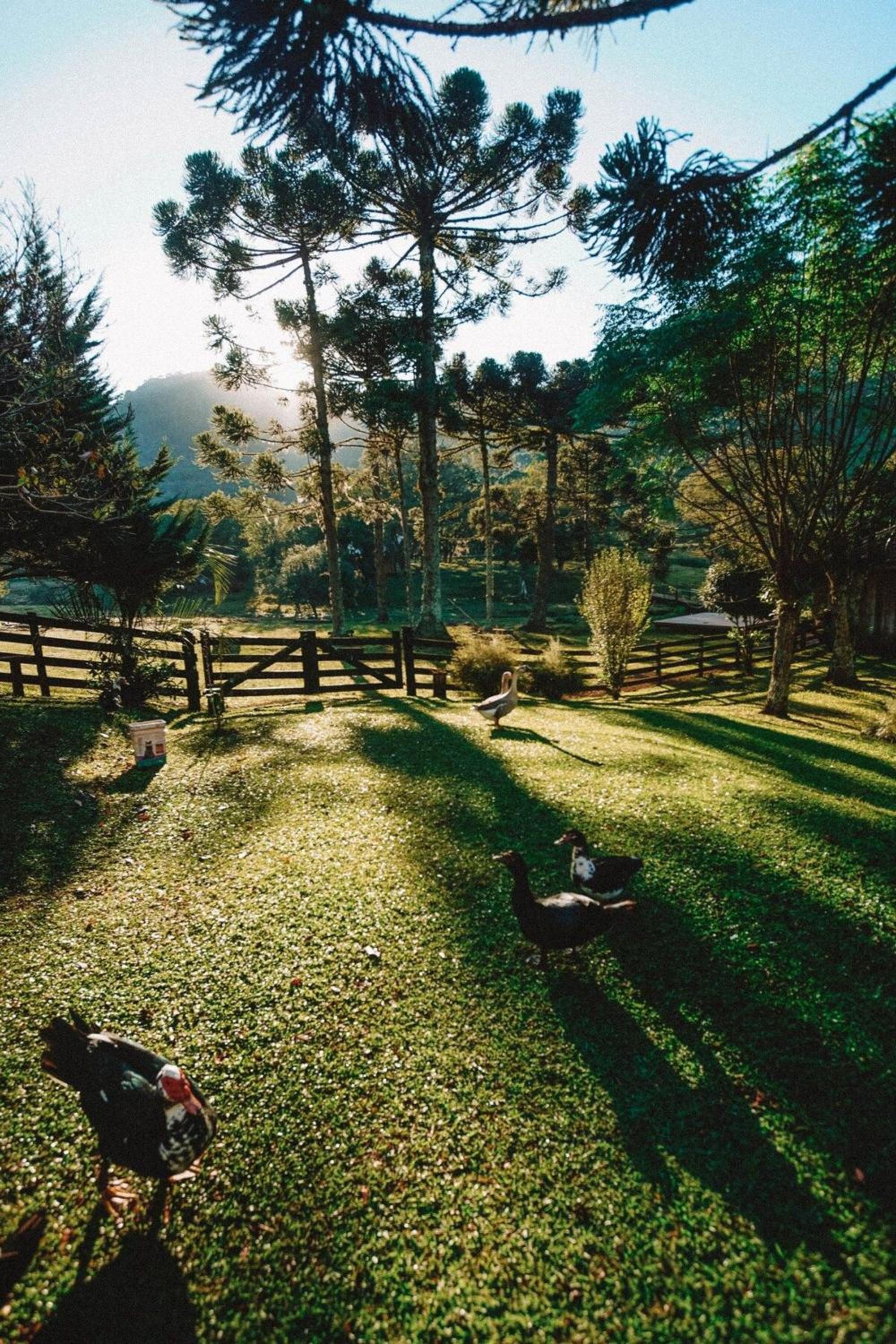 Borgo 28 Gramado