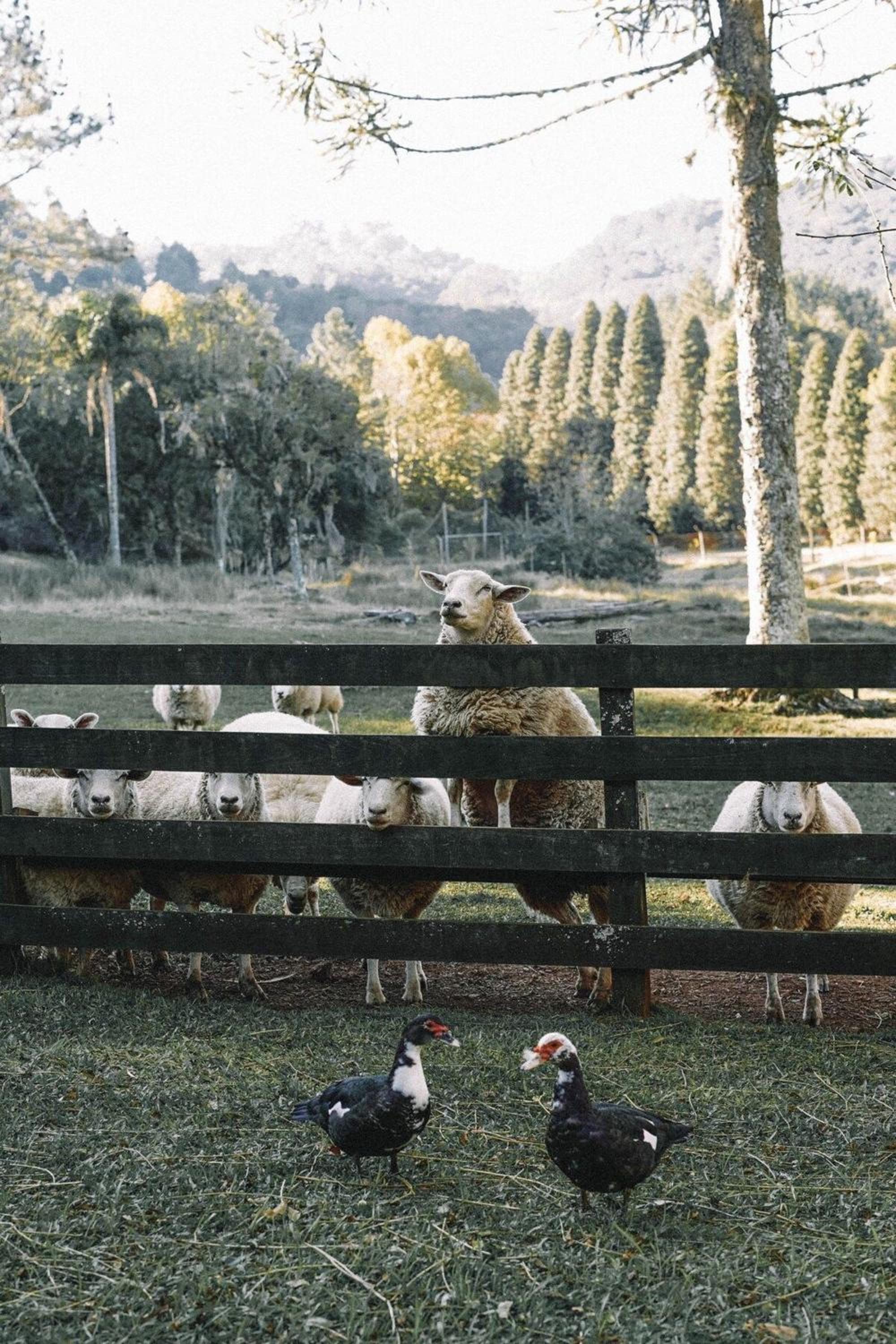 Borgo 28 Gramado