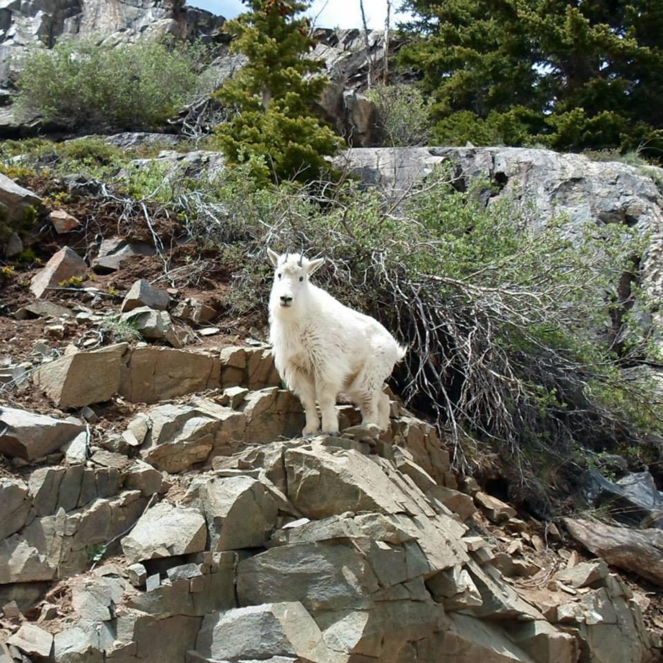 Photo 30