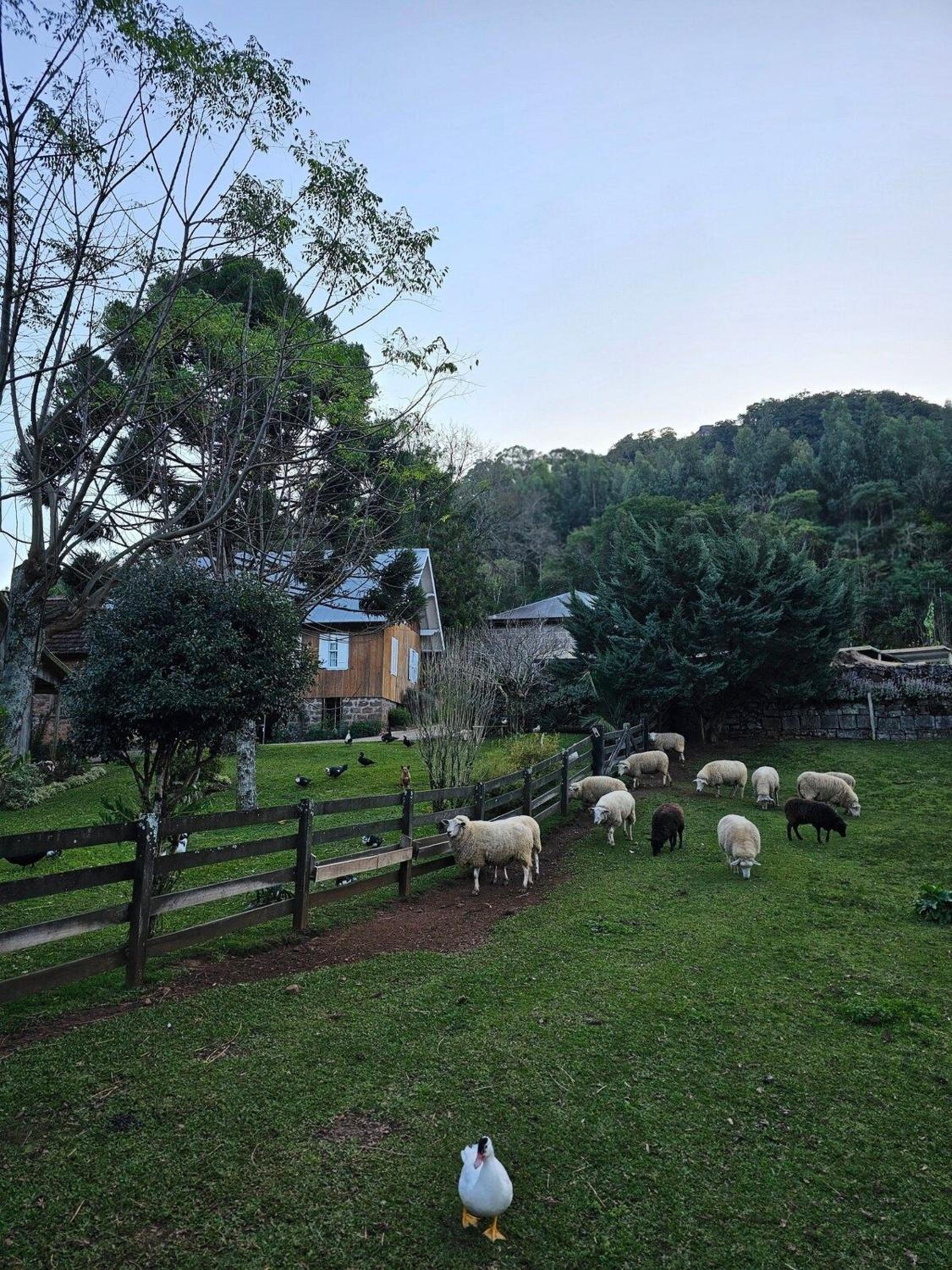 Borgo 28 Gramado