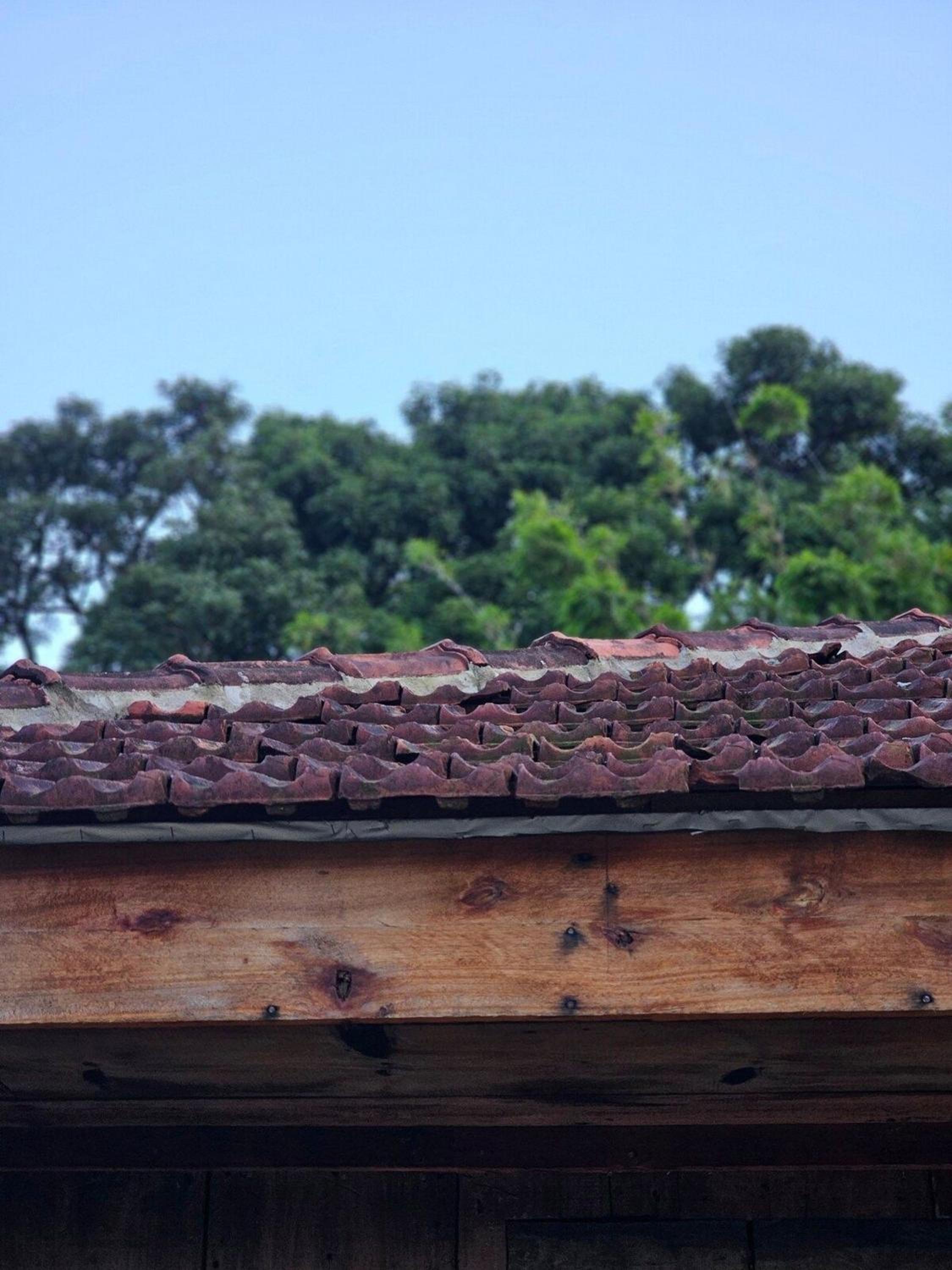 Borgo 28 Gramado