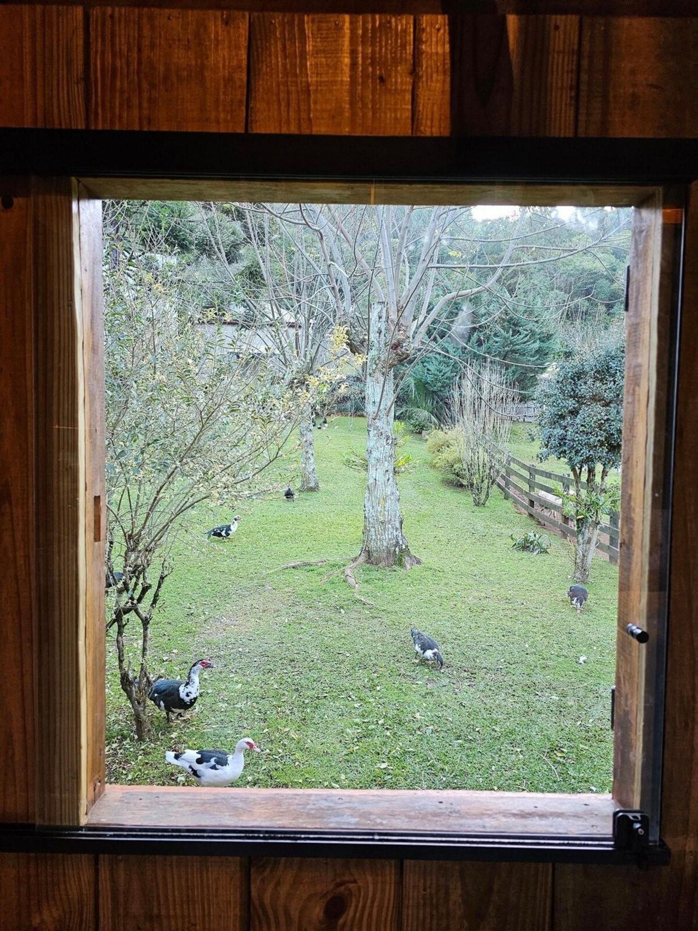 Borgo 28 Gramado