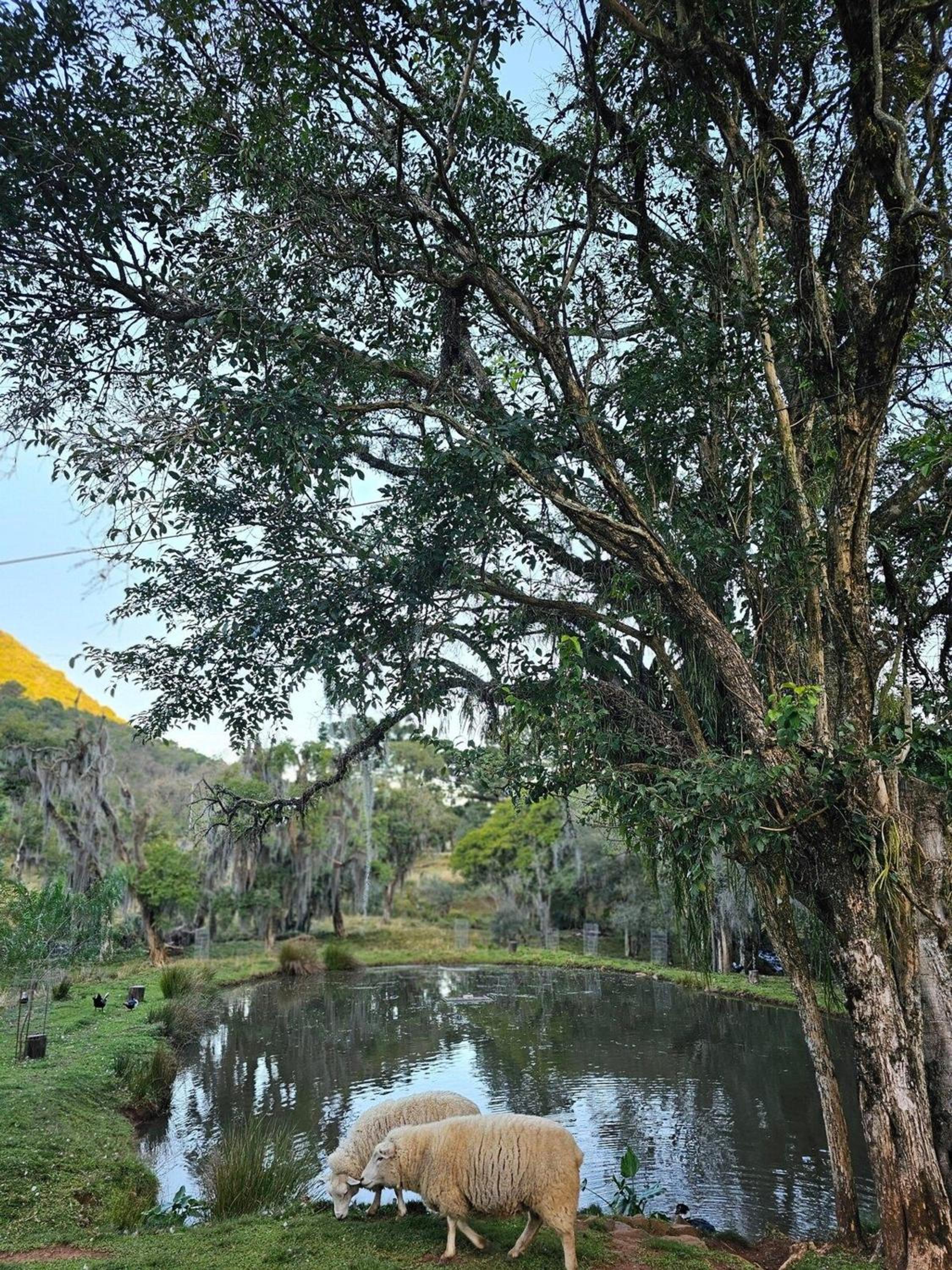 Borgo 28 Gramado