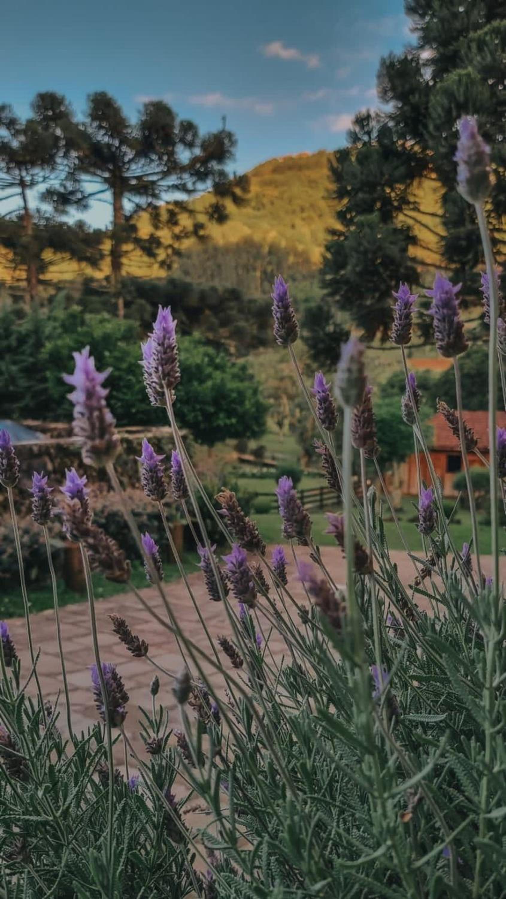 Borgo 28 Gramado