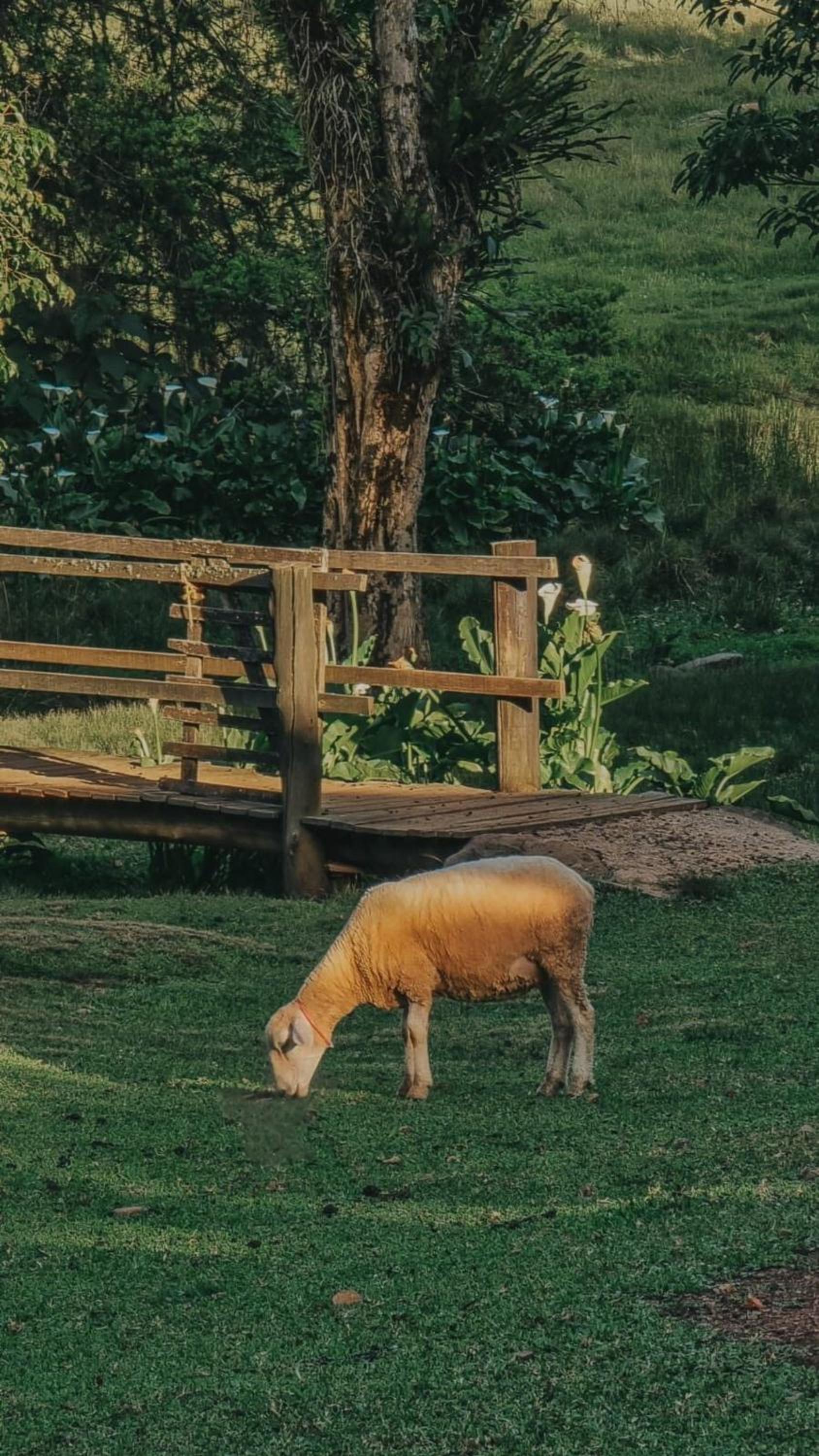 Borgo 28 Gramado