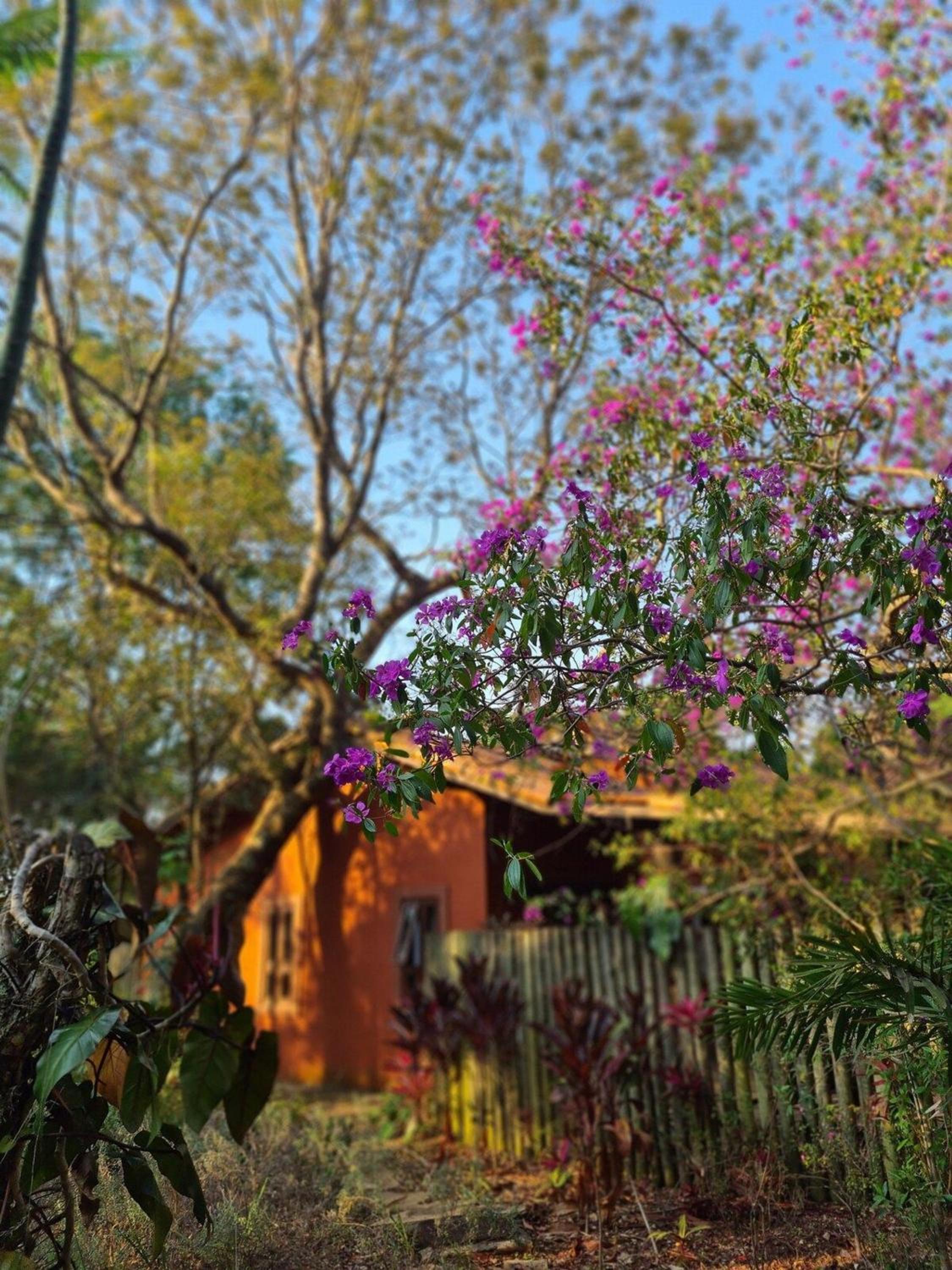 Casas Park Way