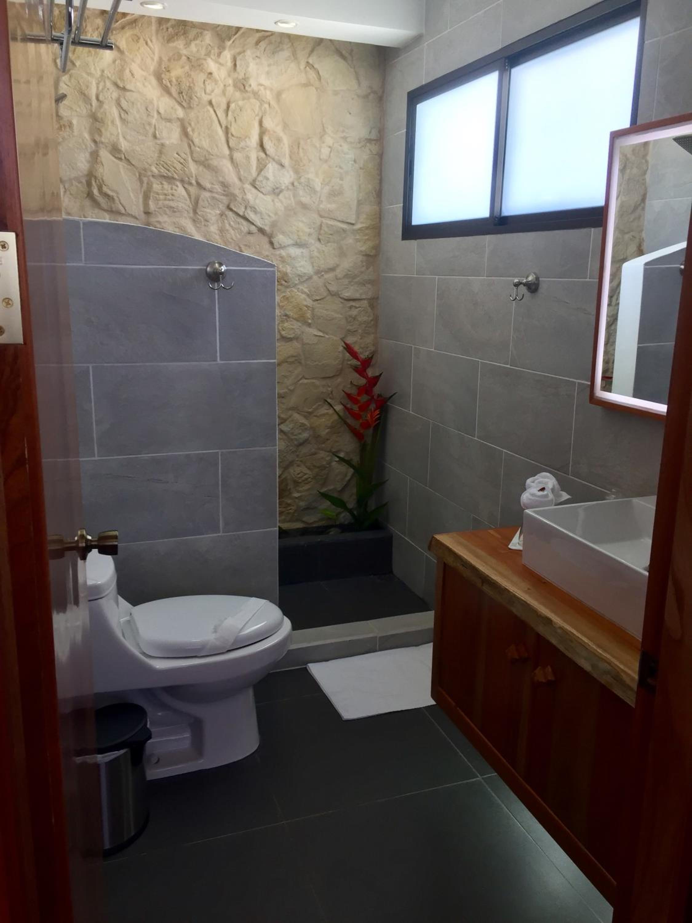 The Fruit Tree Garden Bromeliad Suite