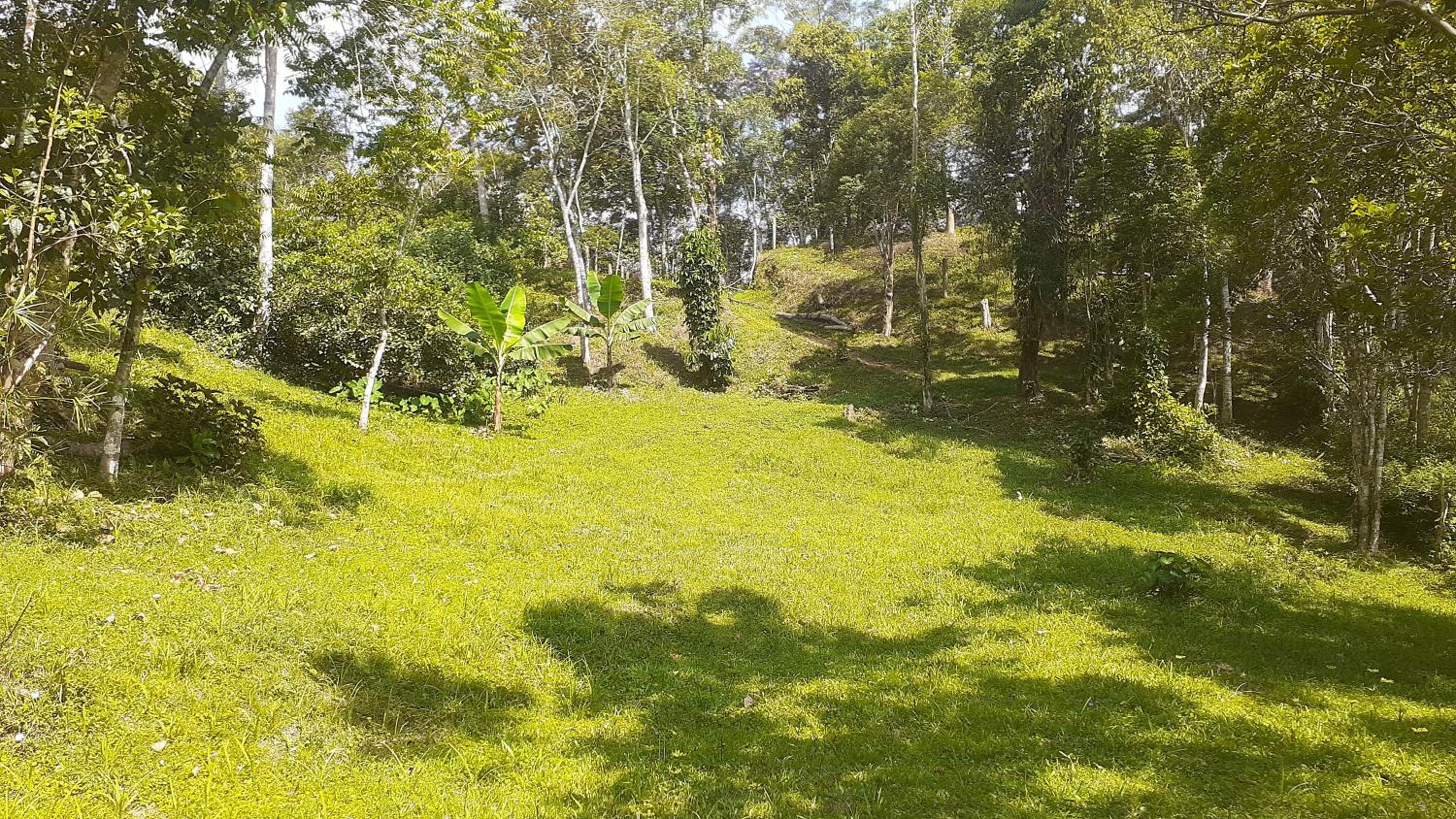 Refúgio em meio à mata Atlântica