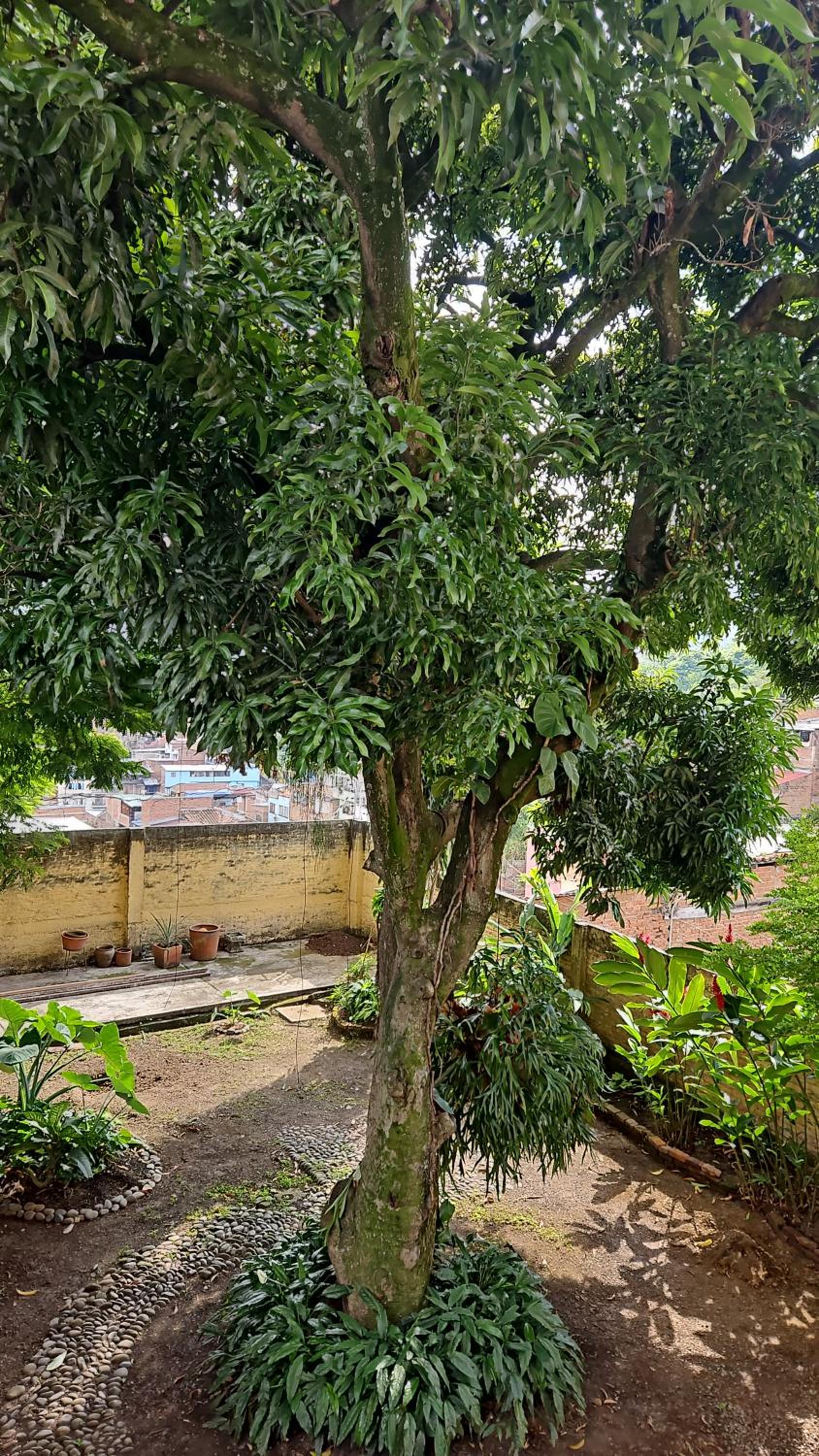 Casa Alba