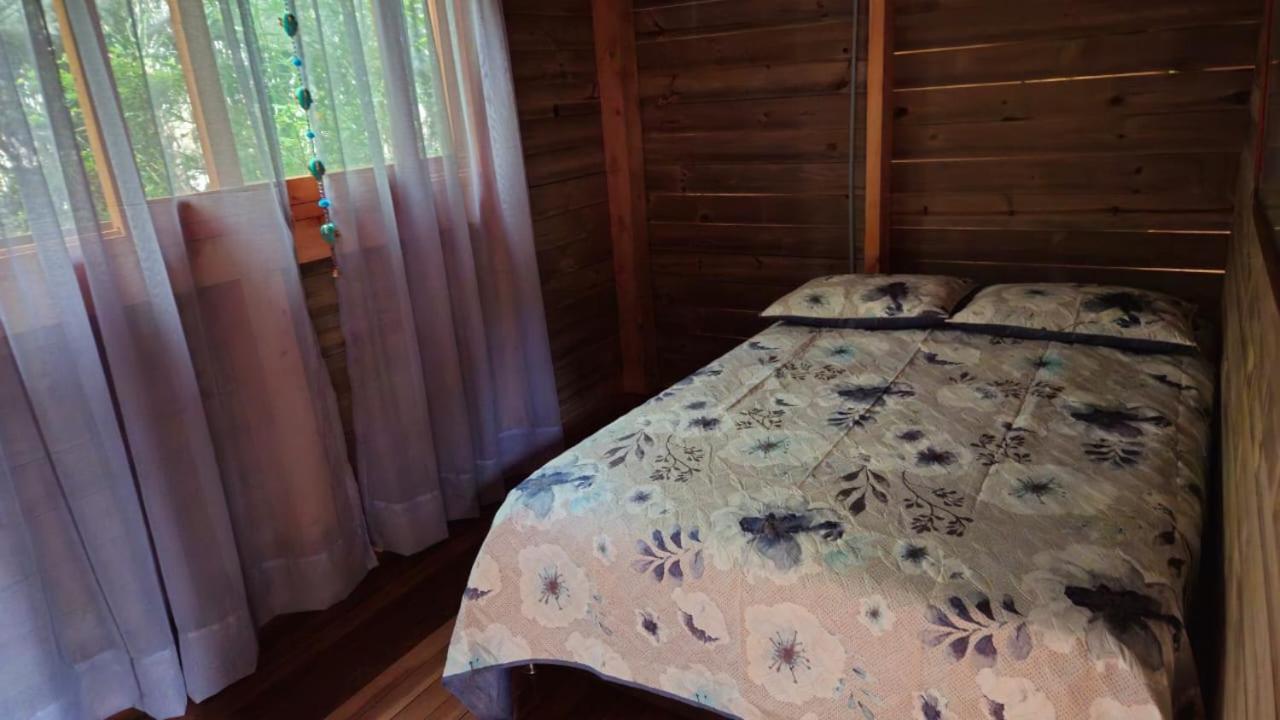 Beehouse Arví Cabaña