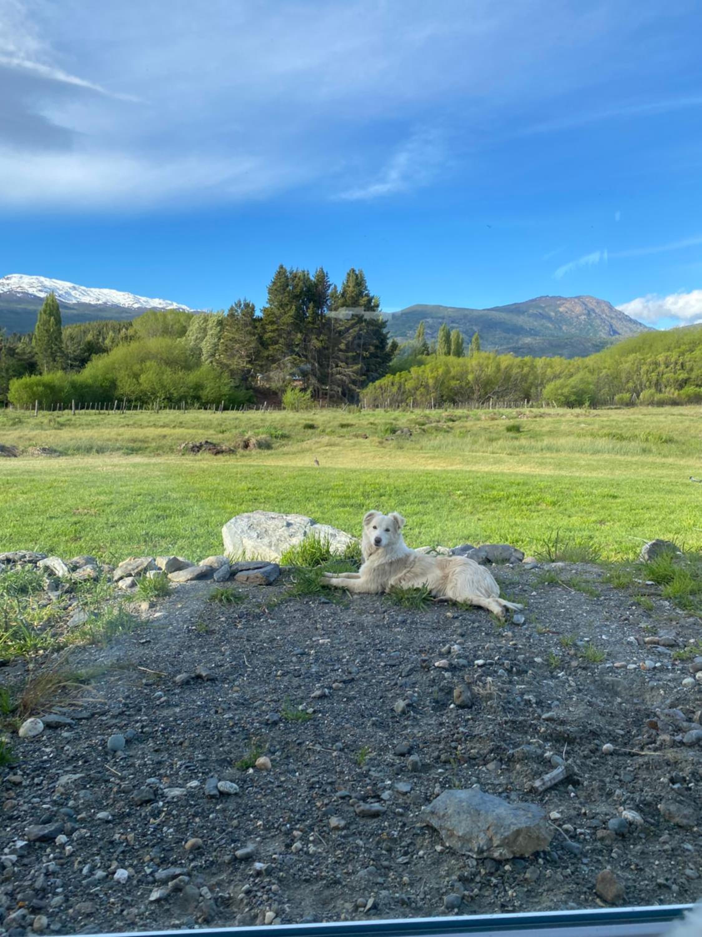 Fundo El Coigue - La Cabaña